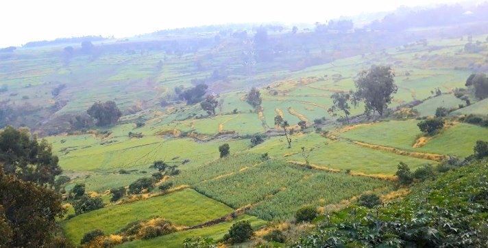 Farm land in Bahir Dar