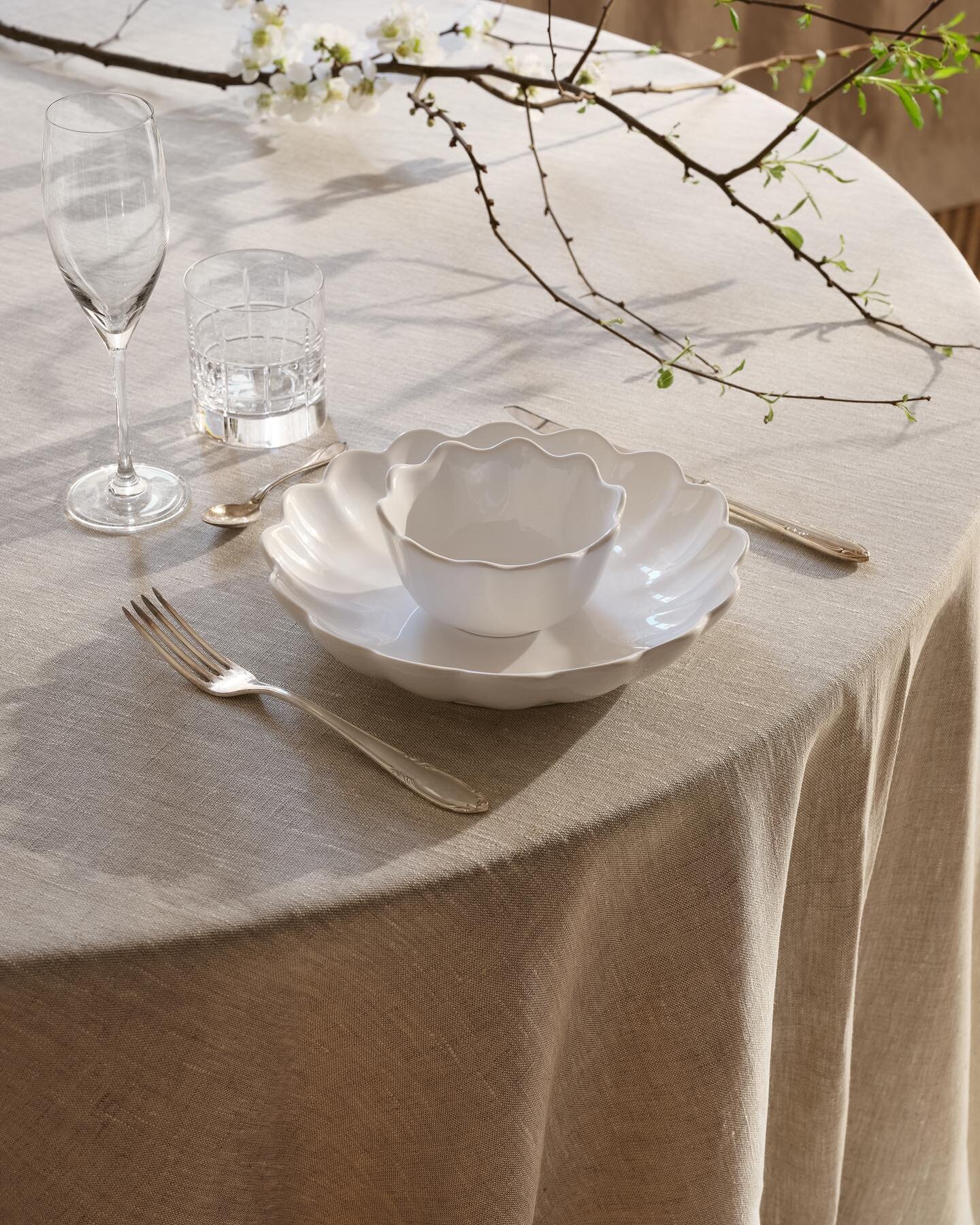 Crisp white table setting inspiration from @mateuscollection 🤍🪴

#mateus #mateuscollection #tableware #tabletop #tabletopinspiration #interior #interiorinspo #interiordesign #interiorinspiration #interiordecor #interi&oslash;r #interi&ouml;r #bordd