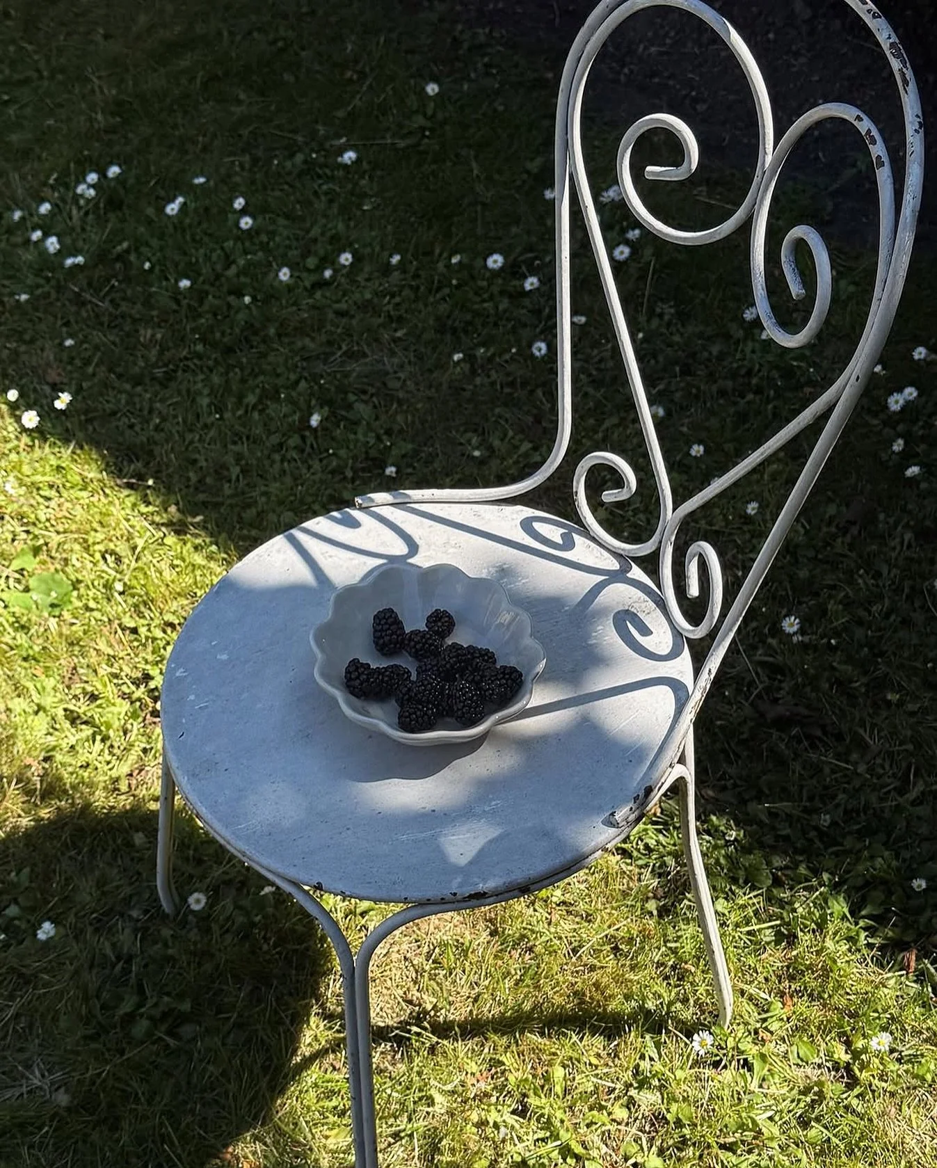 Berries and Mateus - just what we need this summer🫐

#mateus #mateuscollection #summervibes #summerlunch #piknikiparken #lunchideas #interior #interi&oslash;r #borddekking #dukning #servise #insidetooas