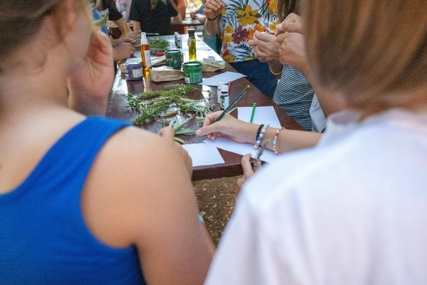 11-July-2024 Pokrivenik-06 (1).jpg