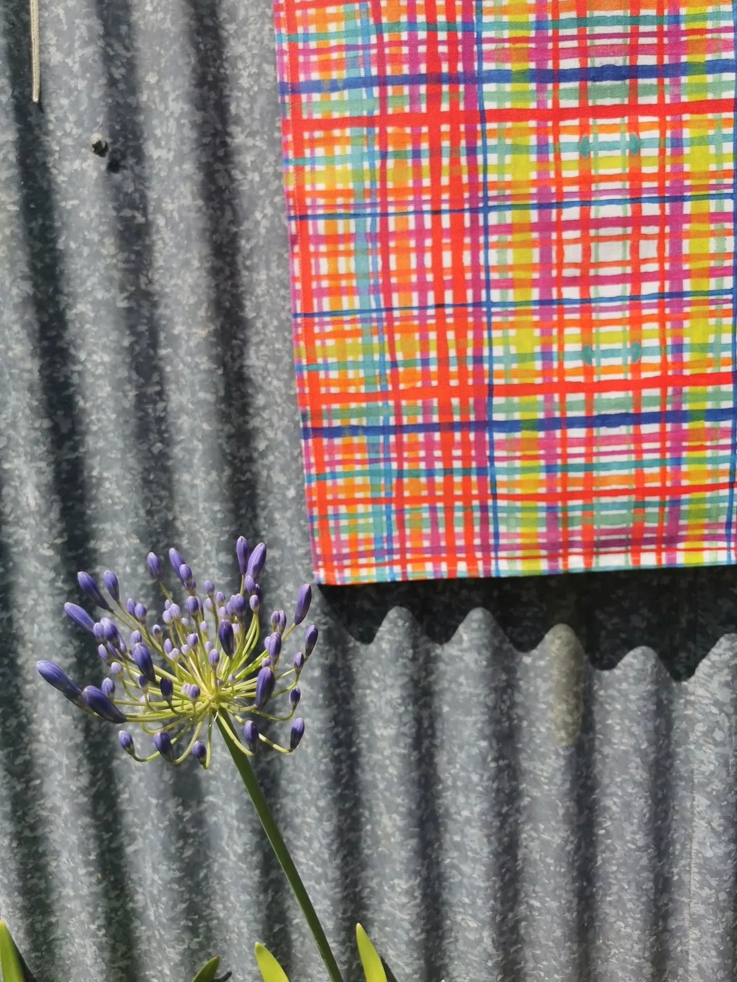 Lovely sunny day to take some outdoor pics of my new handmade teatowels.
I'm enjoying learning the process....from my hand painted watercolours on paper, scanned into computer, played with a little, uploaded online to be digitally printed on cotton l