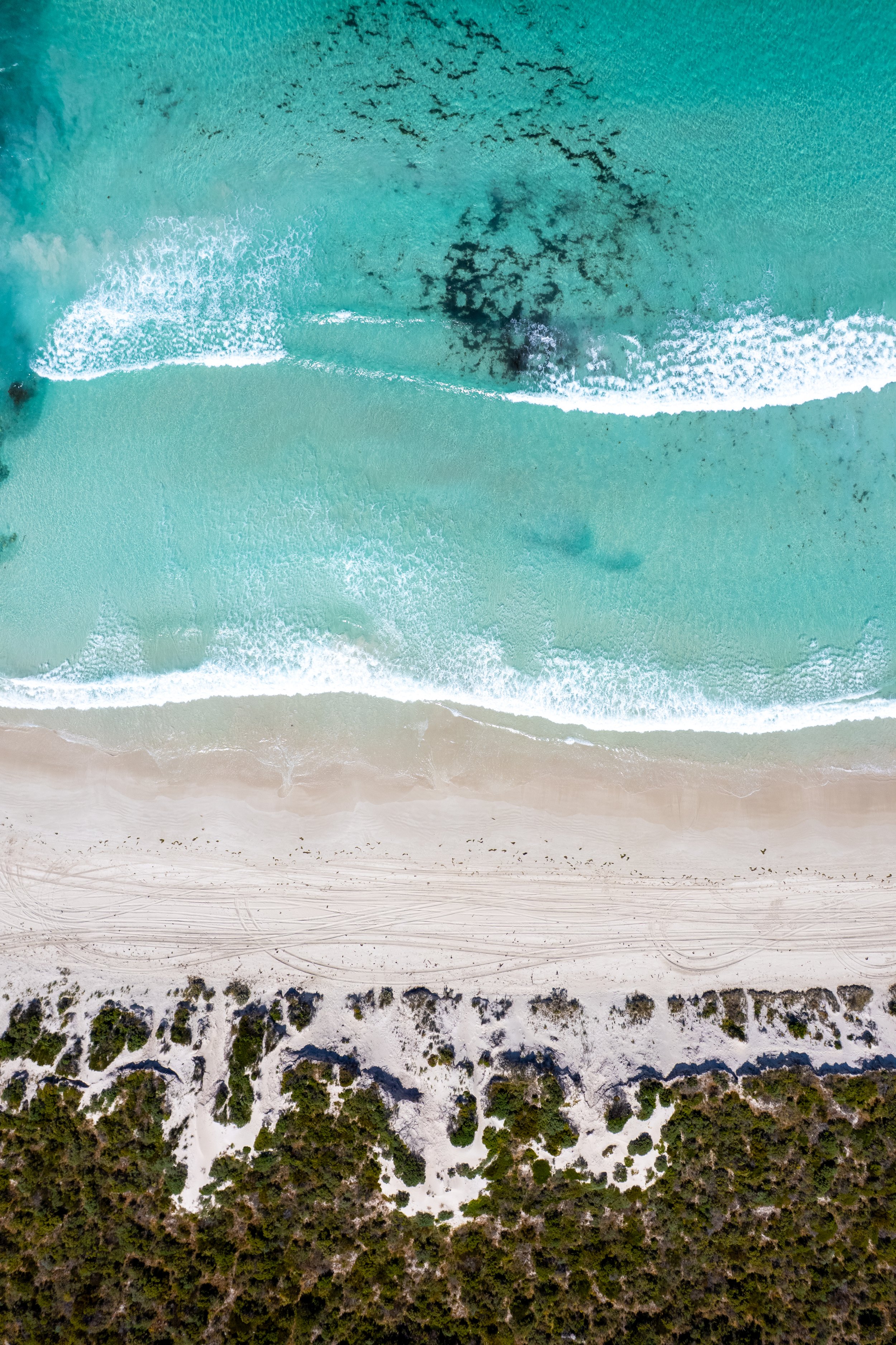 SueCatt(11).jpg (Copy)