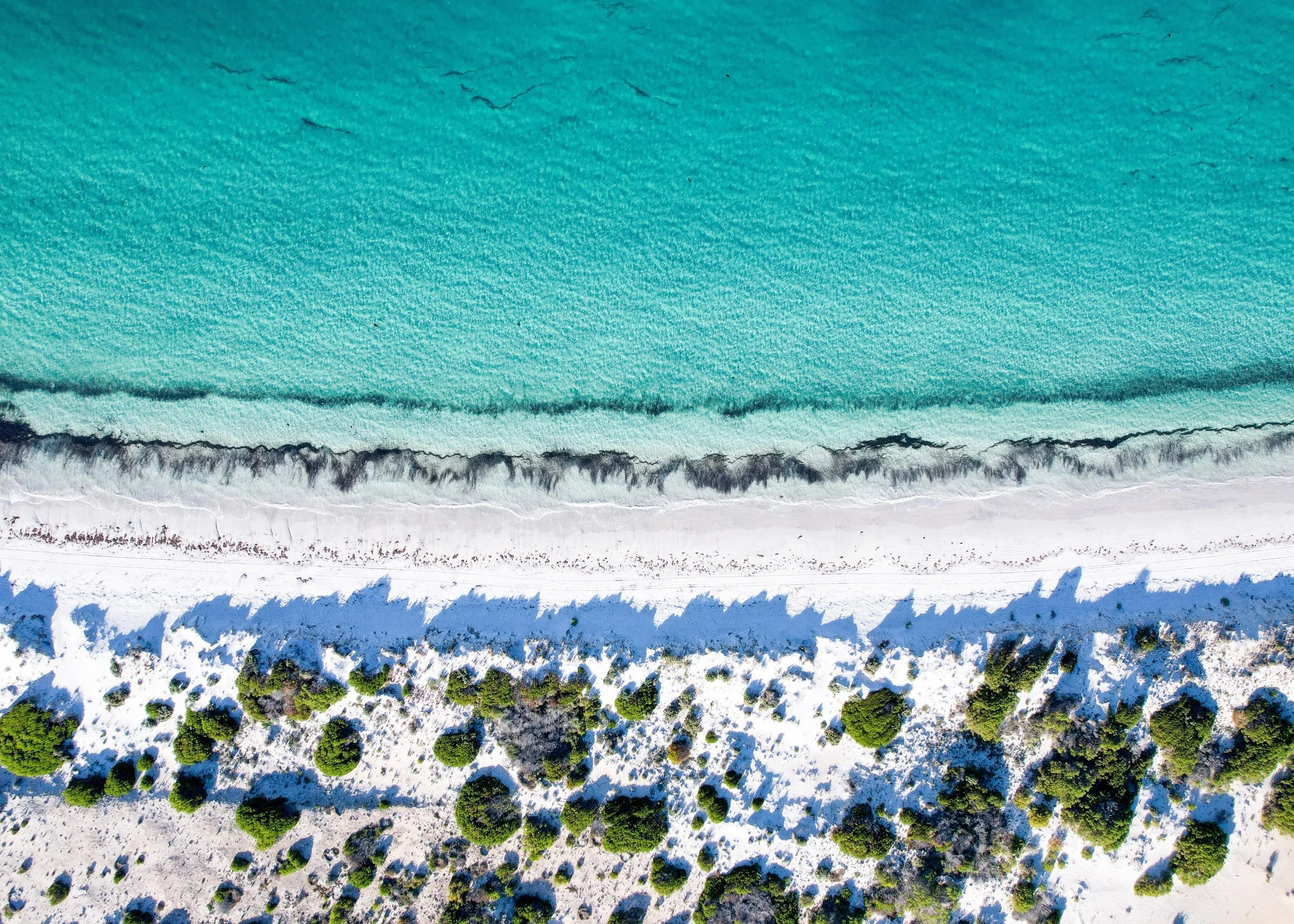 Ocean and Earth
Location : Port Neill