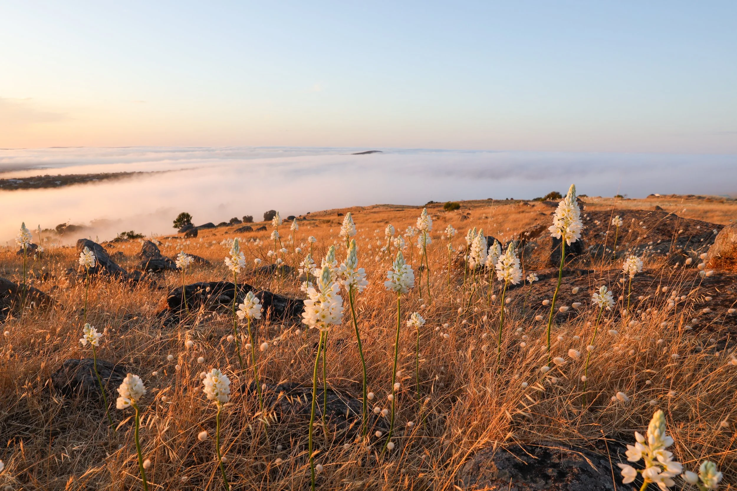 Above The Fog
Location : Winters Hill