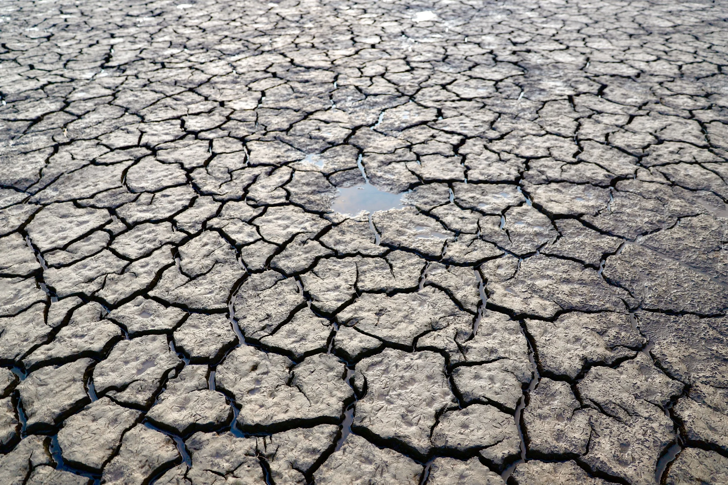 The Big Dry
Location : Big Swamp