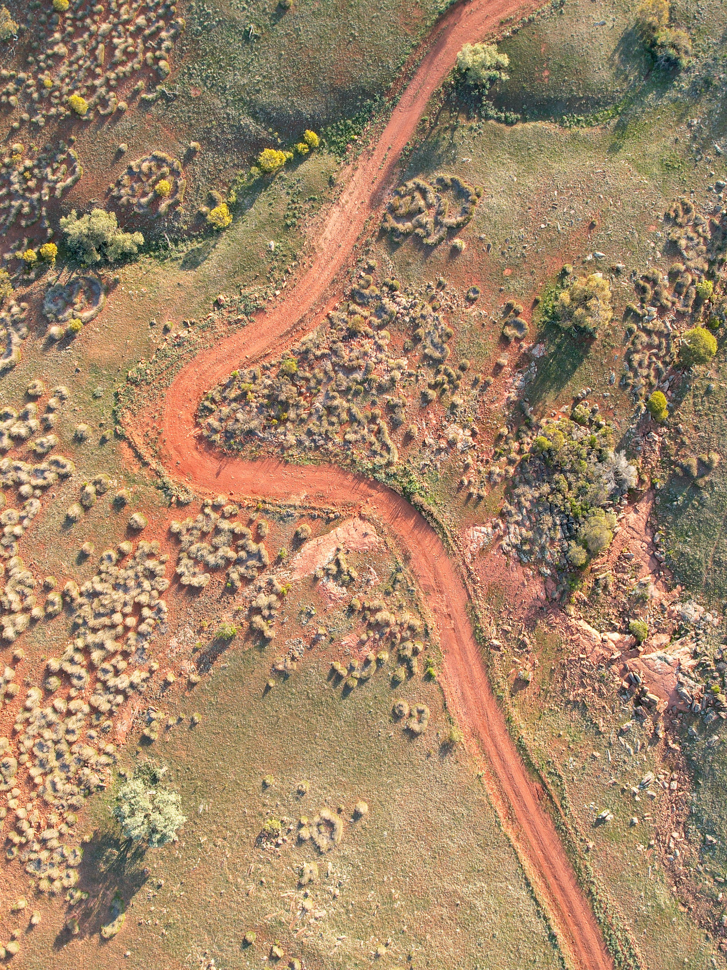 SueCatt(6).jpg (Copy)