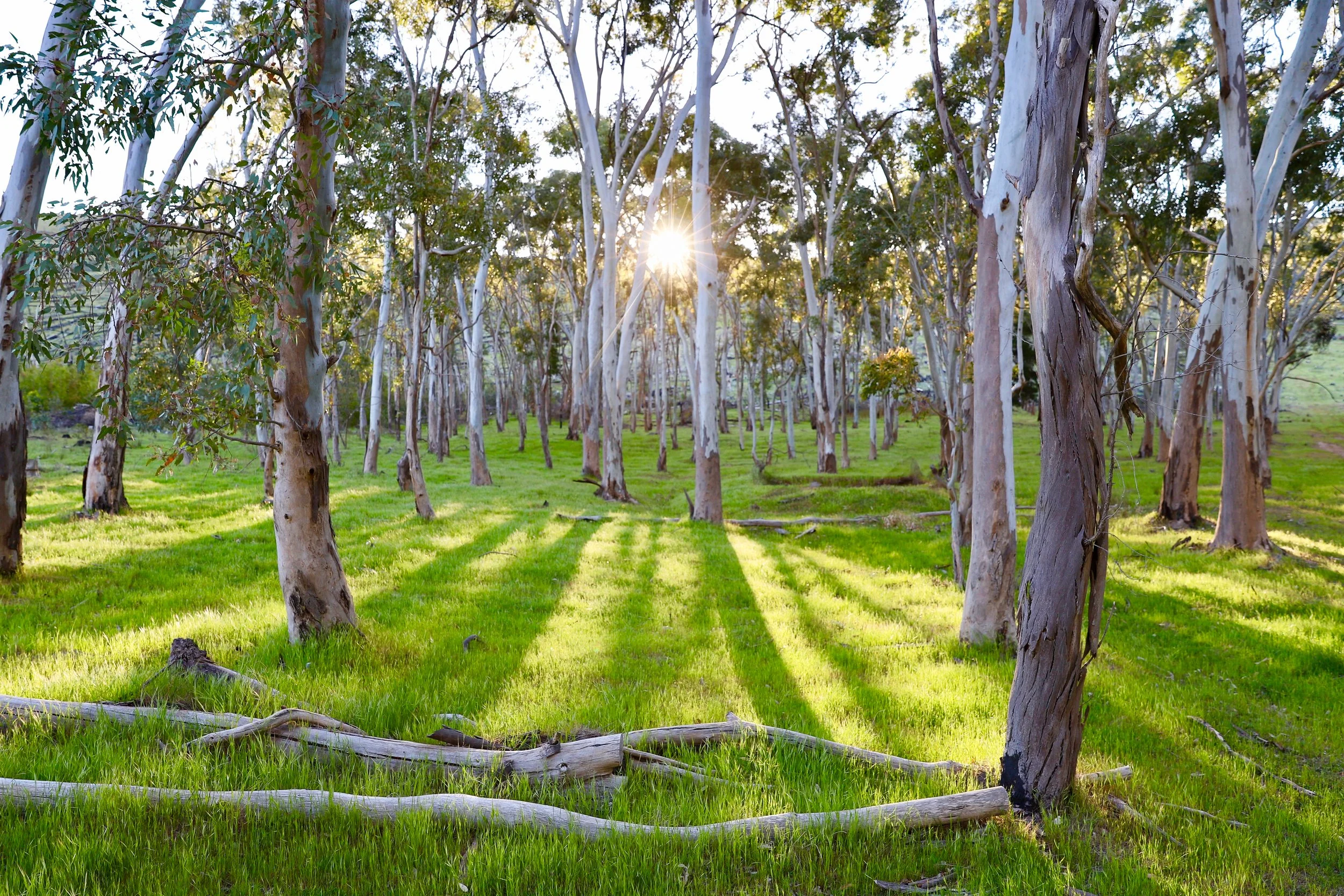 Last Light
Location : Heysen Trail