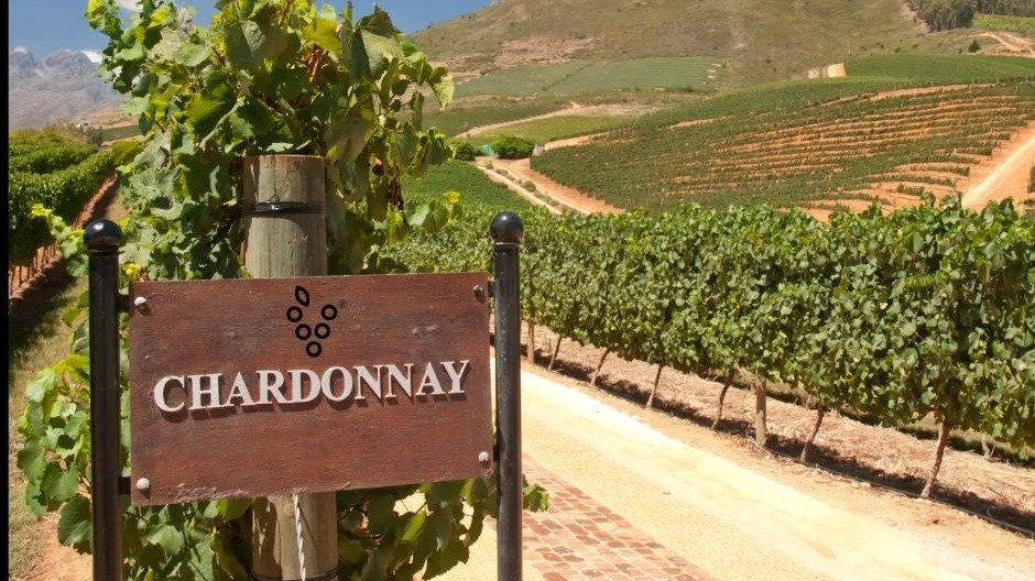 VERANDA: Smaking - Chardonnay