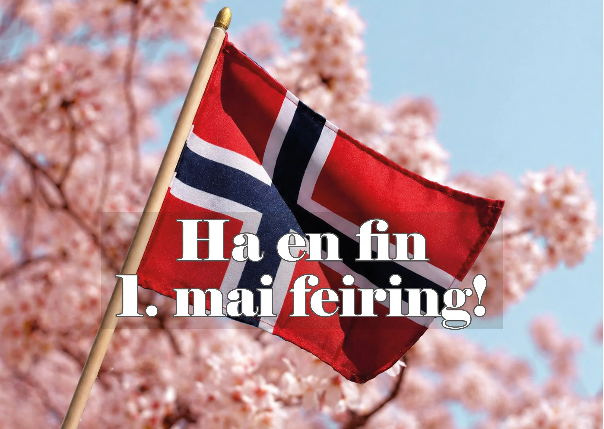Norsk flagg vifte mot en bakgrunn av rosa blomstrende trær og klar blå himmel, med tekst som sier 'Håper fin 17. mai feiring!'