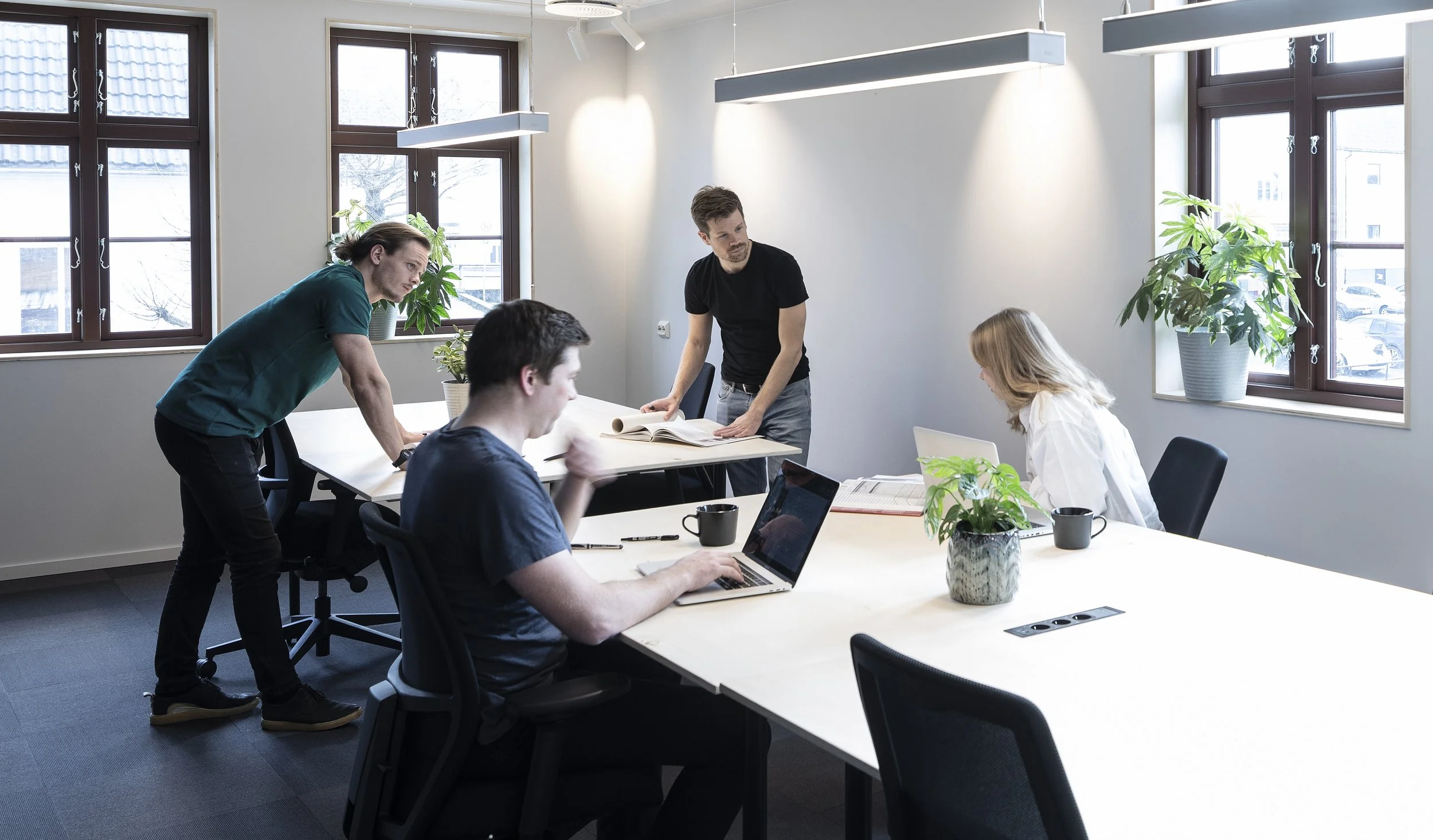 Fem personer i et møterom med store vinduer og grønne planter. Noen jobber på laptops, mens andre diskuterer eller leser bøker.