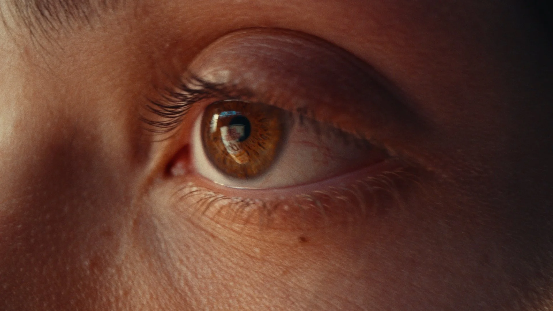 Still 2026-02-18 145611_1.8.1.POST.jpg