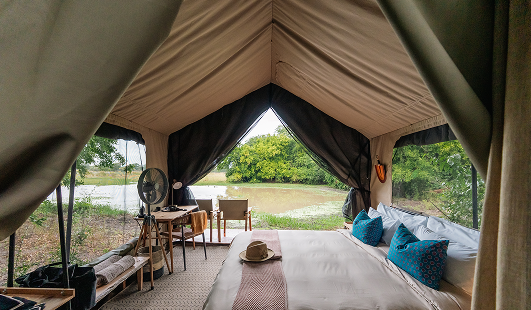 GORONGOSA SAFARIS - Chicari Camp - Safari Tent - Interior and view 33 3.png