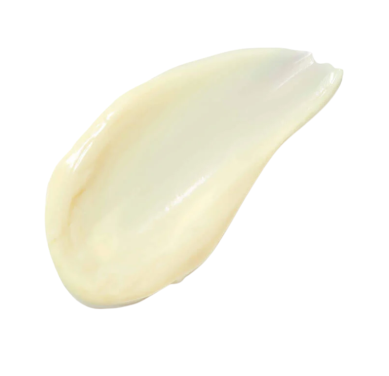 Untitled design-26.png