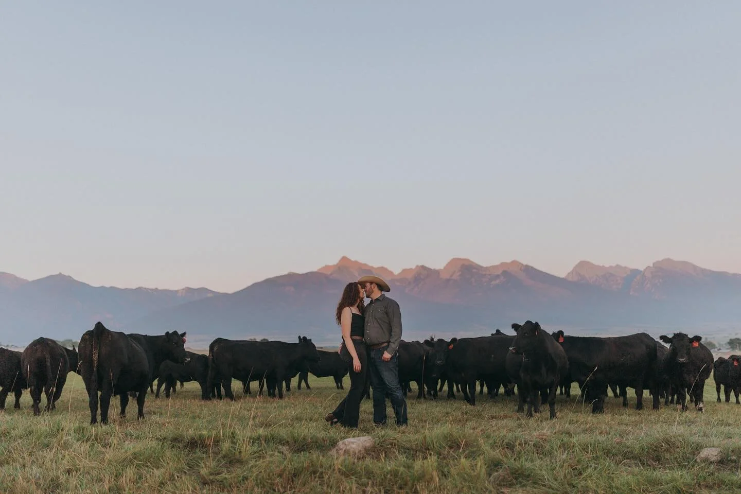 trying to come up with romantic taglines all the time is hard work. so I’m just going to keep it light & quote Burt Reynolds; 
cowboys love fat calves.