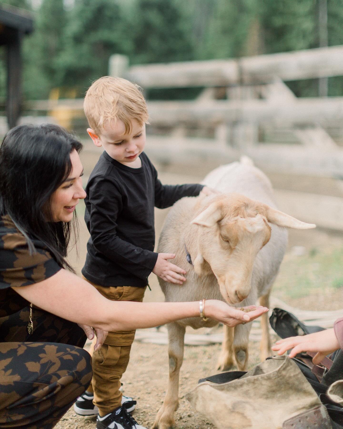memories being made at @coveredwagonranch