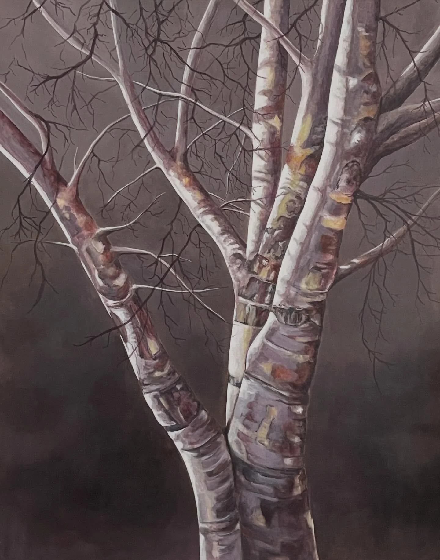 I am excited and honoured that this piece, &ldquo;Birch&rdquo; &hellip;and two other paintings&hellip; will soon be part of the Journeys Retrospective  as the Blue Mountains Foundation for the Arts @bmfafoundationarts  celebrates 50 incredible creati