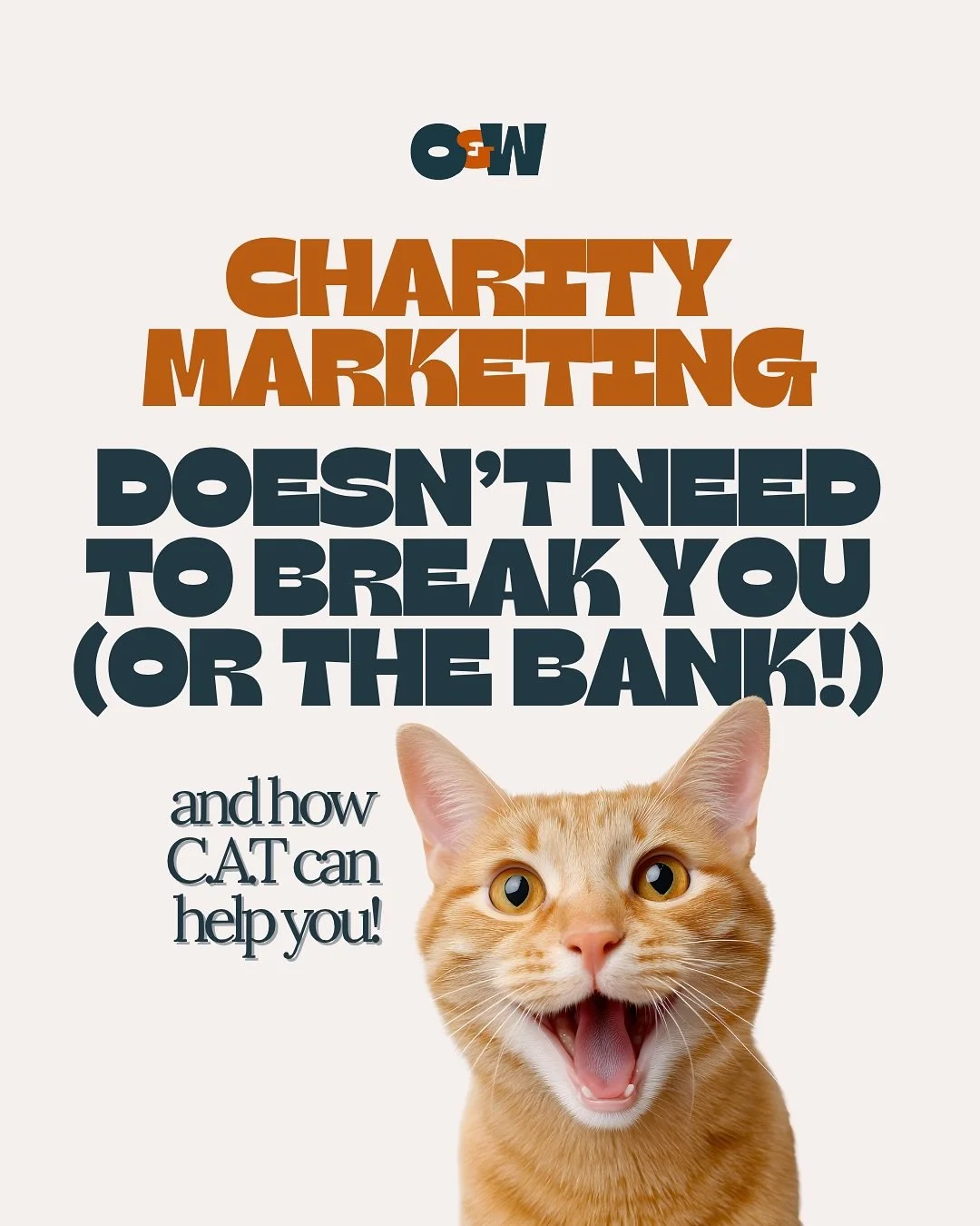 The cat&rsquo;s out of the bag. 
👉 Comment &lsquo;CAT&rsquo; and we&rsquo;ll send you our recent blog, which digs a bit deeper, adds some more ideas.

You don&rsquo;t need to be everywhere. You don&rsquo;t need to chase every trend.

Just paws for a