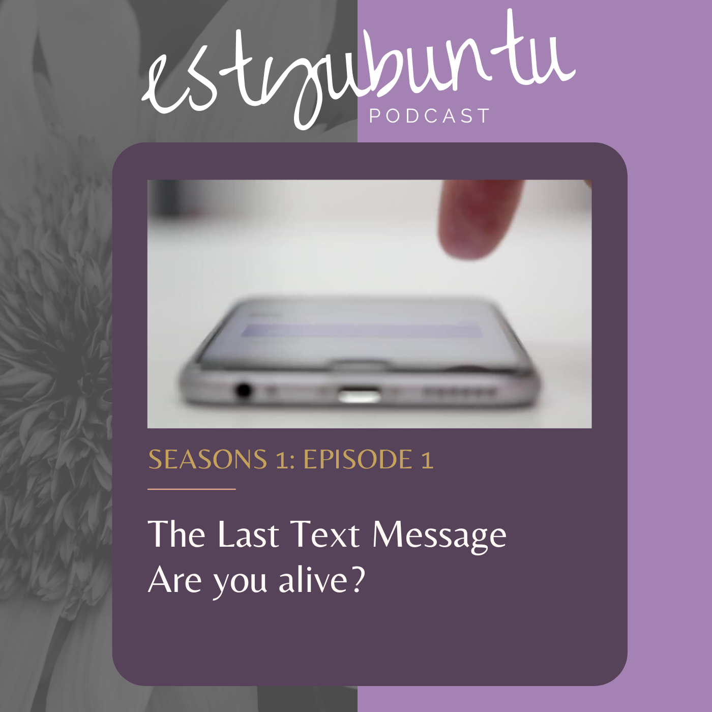       
  
     
  @import url('https://fonts.googleapis.com/css2?family=Cormorant+Garamond:ital,wght@0,300;0,400;0,600;1,300;1,400;1,600&family=DM+Sans:wght@300;400;500&display=swap');

  .ep-page * { box-sizing: border-box; margin: 0; padding: 0; }
