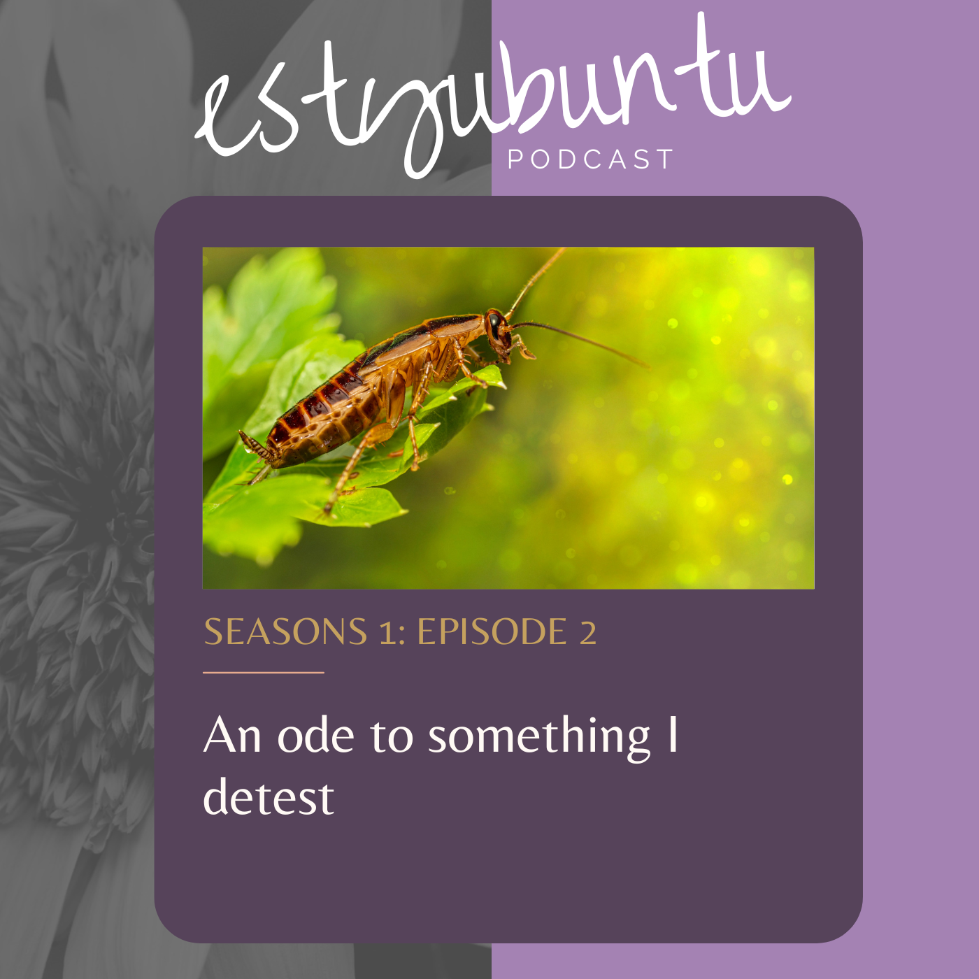       
  
    
 
  @import url('https://fonts.googleapis.com/css2?family=Cormorant+Garamond:ital,wght@0,300;0,400;0,600;1,300;1,400;1,600&family=DM+Sans:wght@300;400;500&display=swap');

  .ep-page * { box-sizing: border-box; margin: 0; padding: 0; }