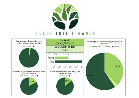 Financial dashboard with Tulip Tree Finance logo, displaying net worth of $270,585,00, and various investment and expense charts.