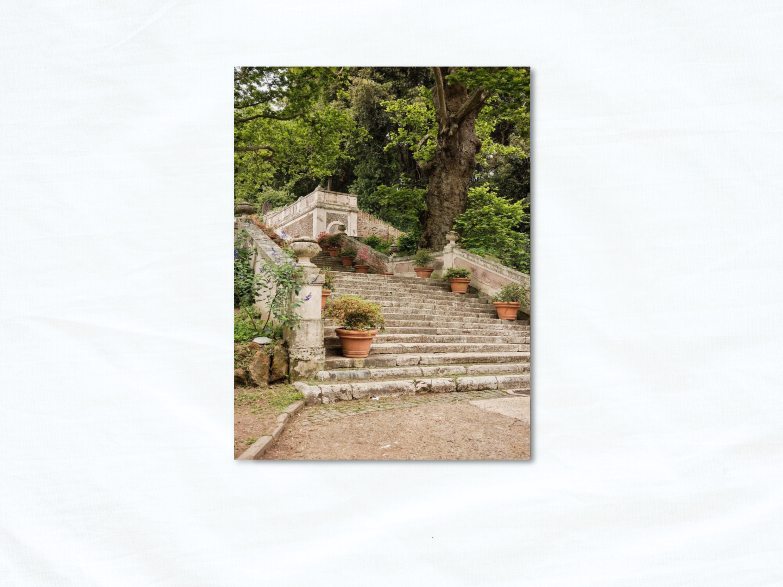 Lesley Thornton-Cronin, Roma, 2024