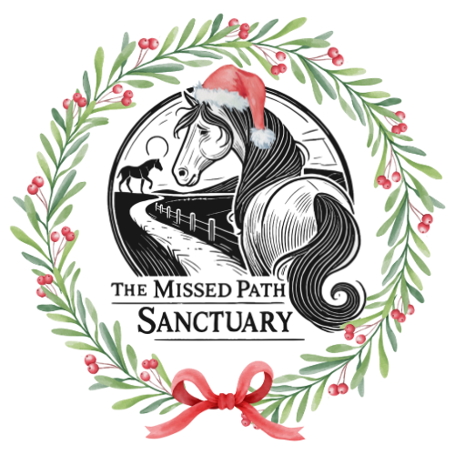 Home for the Holidays