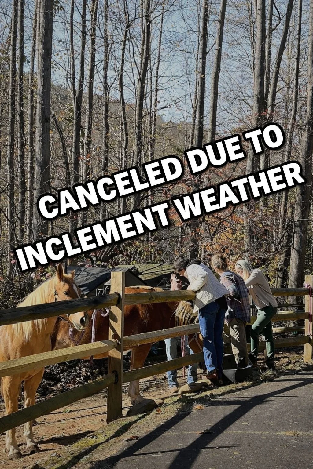 Canceled ❄️ - February Open Horse