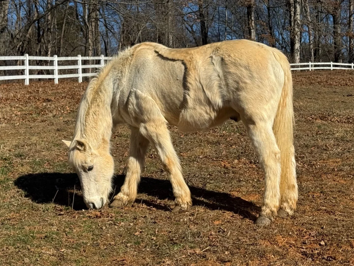 The Kind of Yes That Lasts