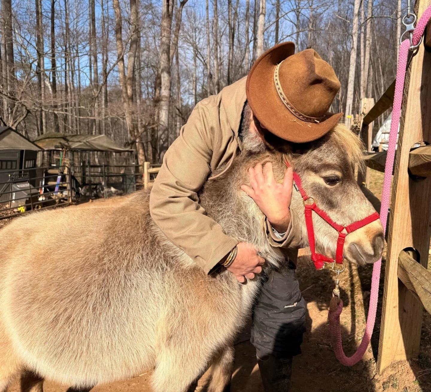 Animals Aren't Disposable