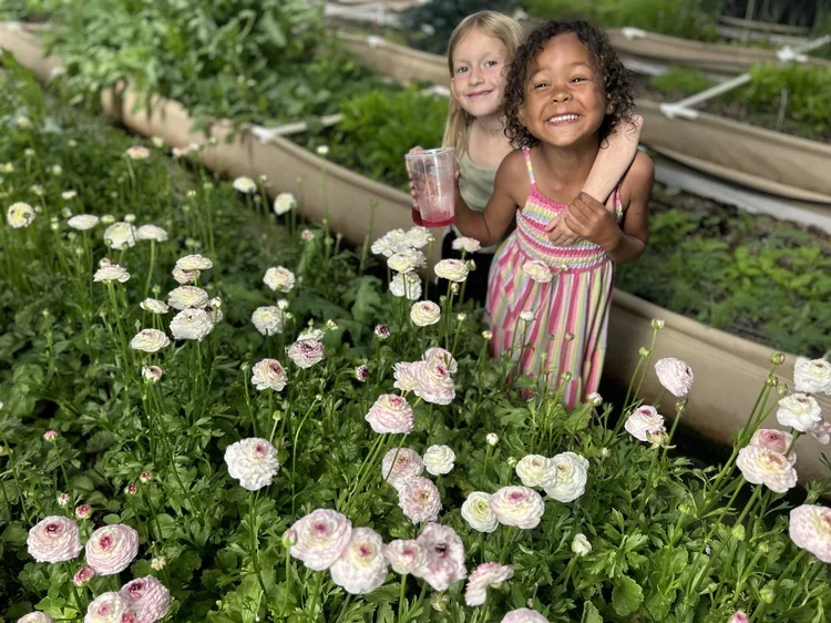 🌷Spring Plant Sale &amp; Festival - Ruby Ranch🌷