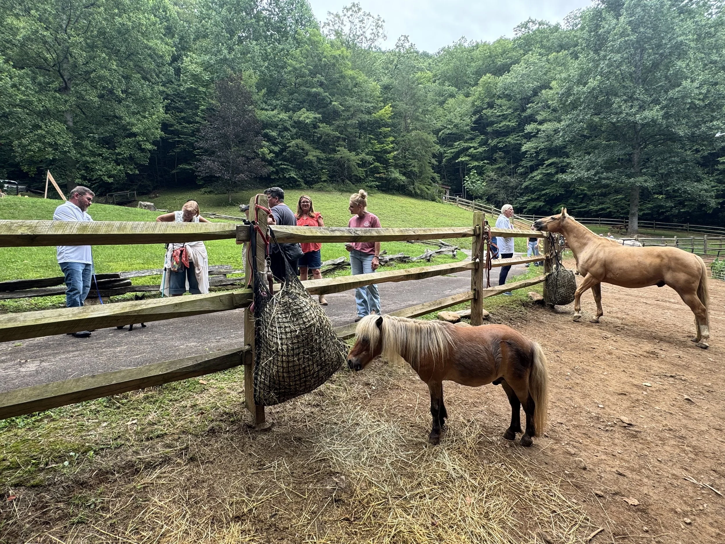Open Horse — Saturday 29 August