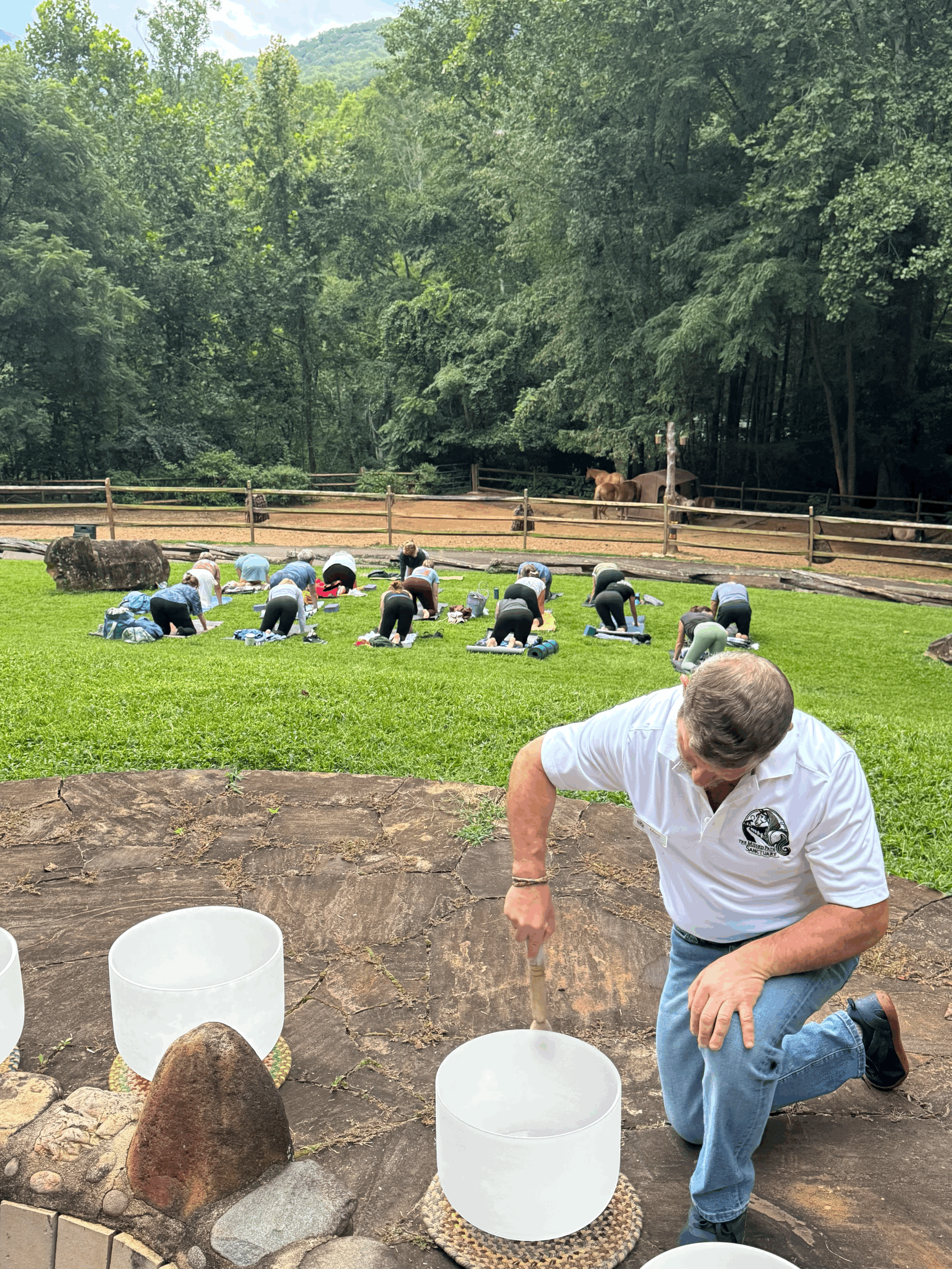 Yoga &amp; Sound Bathing with Horses