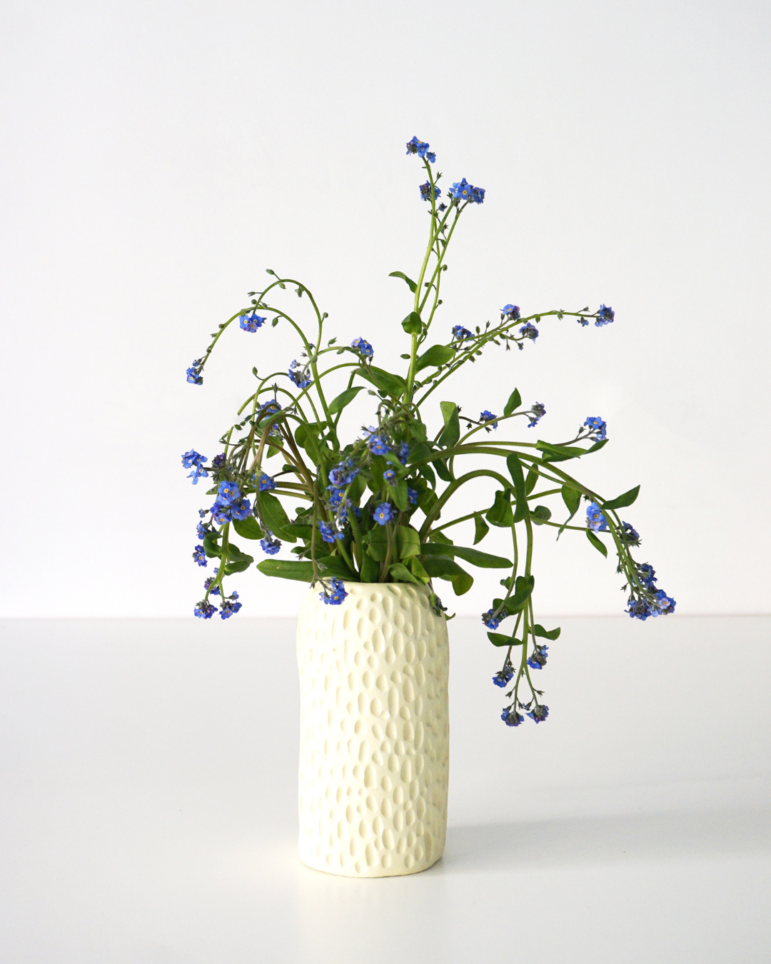 Design ohne Titel - 2026-04-09T135331.474.png