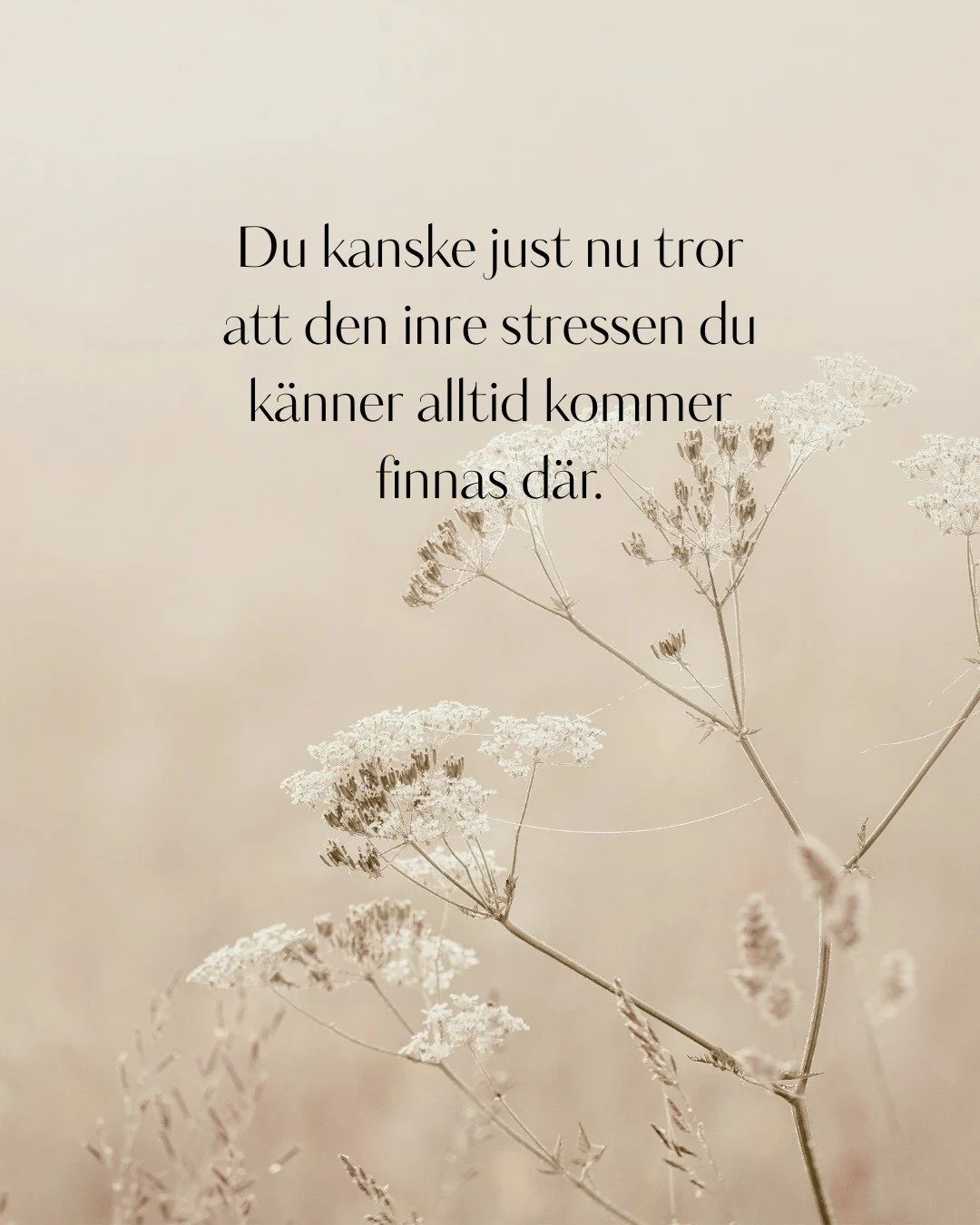 Du kanske tror just nu att den inre stressen du k&auml;nner alltid kommer finnas d&auml;r. Att k&auml;nslorna du k&auml;nner &auml;r dina och fast. Stagnerade.

Du har k&auml;nt det h&auml;r s&aring; l&auml;nge. K&auml;nslan av att inte komma vidare,