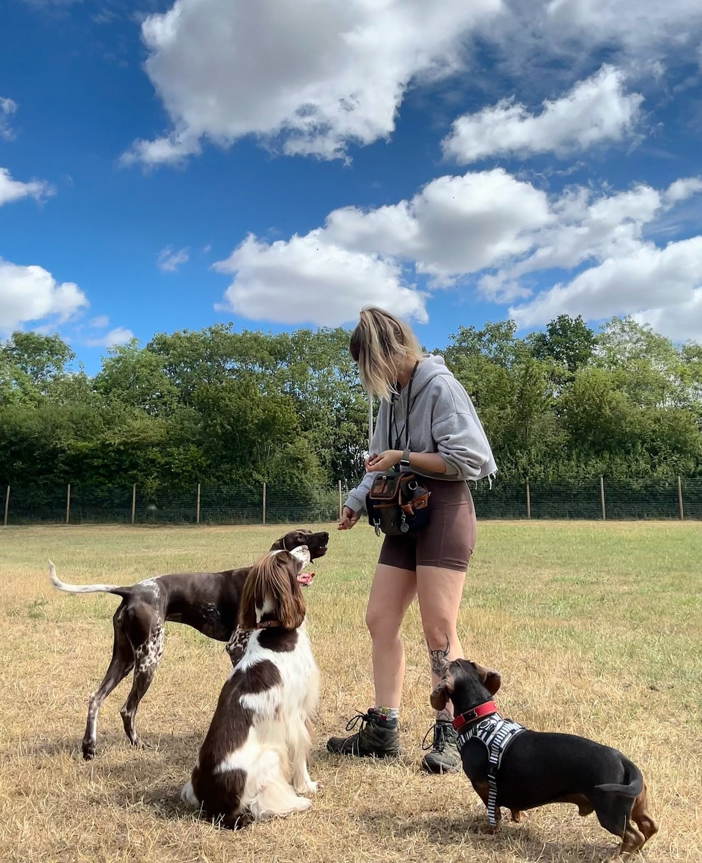 Another brilliant group walk today! 🥳🐾
Your dog doesn’t need to have impeccable training to join in on these!
There’s no requirement for flawless recall, loose lead walking or perfect obedience - these walks are centered around build