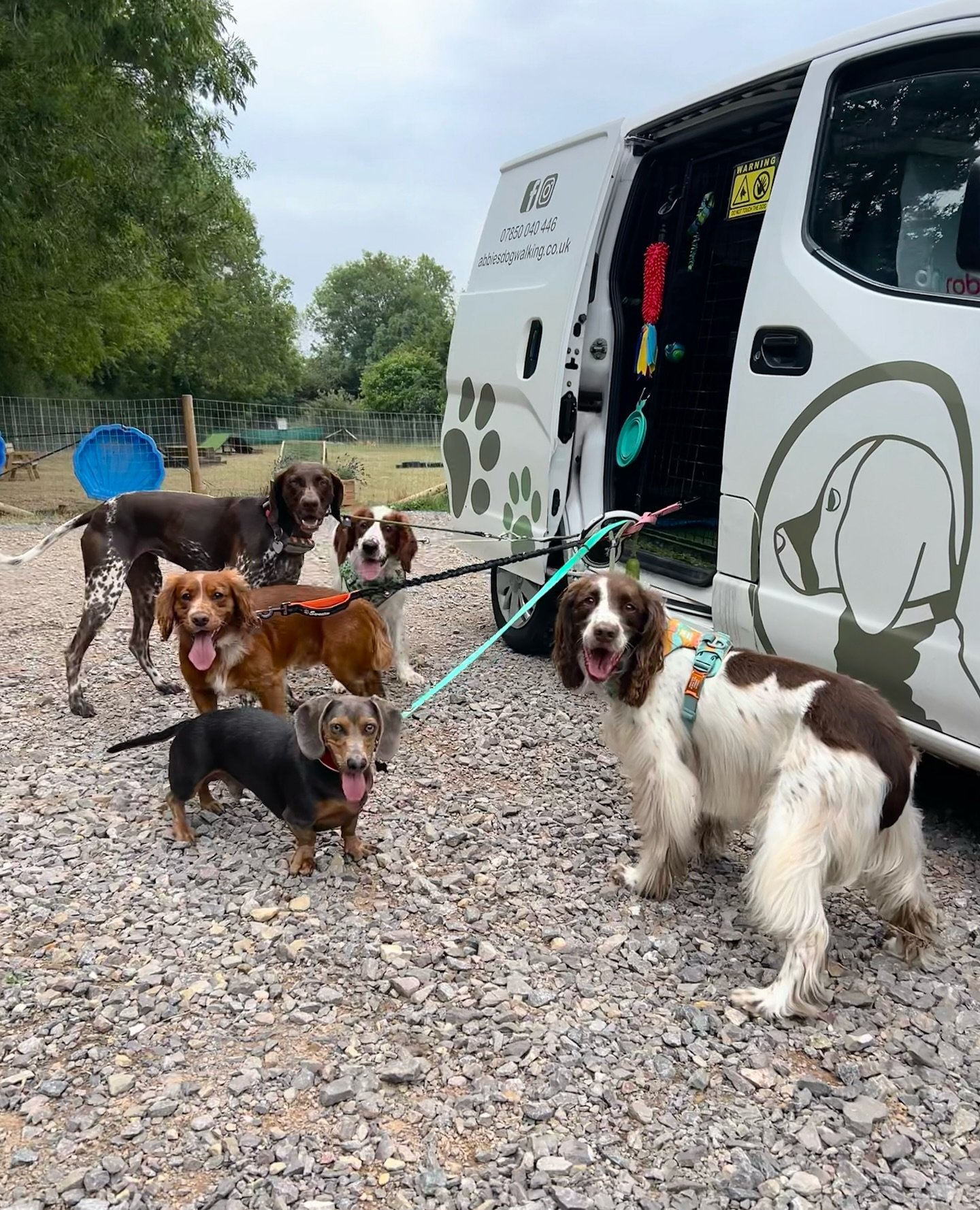 A little hack if you’re always holding more than one lead at once… use a large baggage carabiner or a grab handle! You can loop all the handles onto one loop / carabiner so you’re not holding loads of handles at once!
Helpfully d