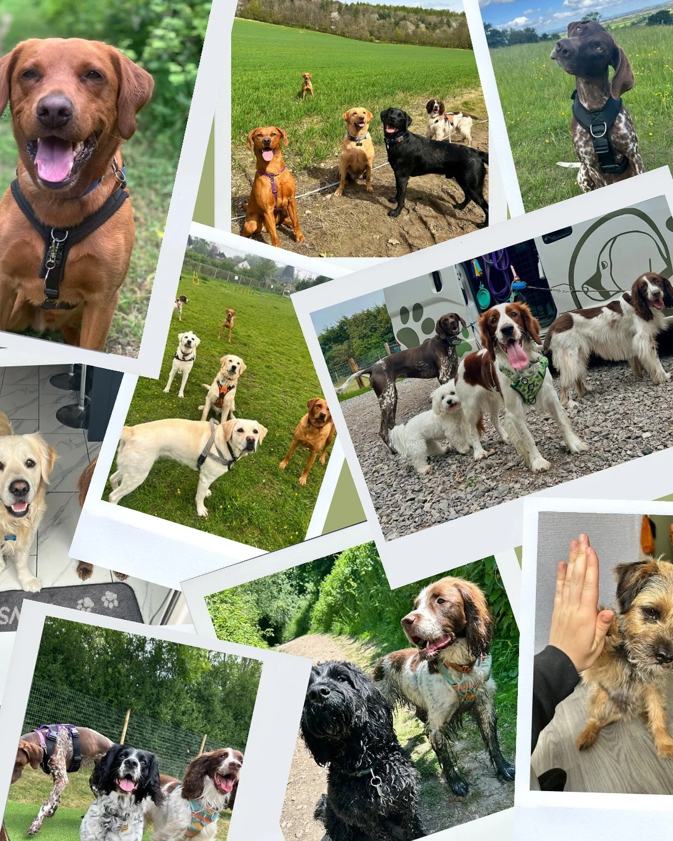 Happy international dog day! 🥳🐶
Here’s to all the furry friends we couldn’t live without that make our lives richer and to all the dogs that I’m lucky enough to call my clients, give your pups an extra hug from me! 🐾
•
&bu