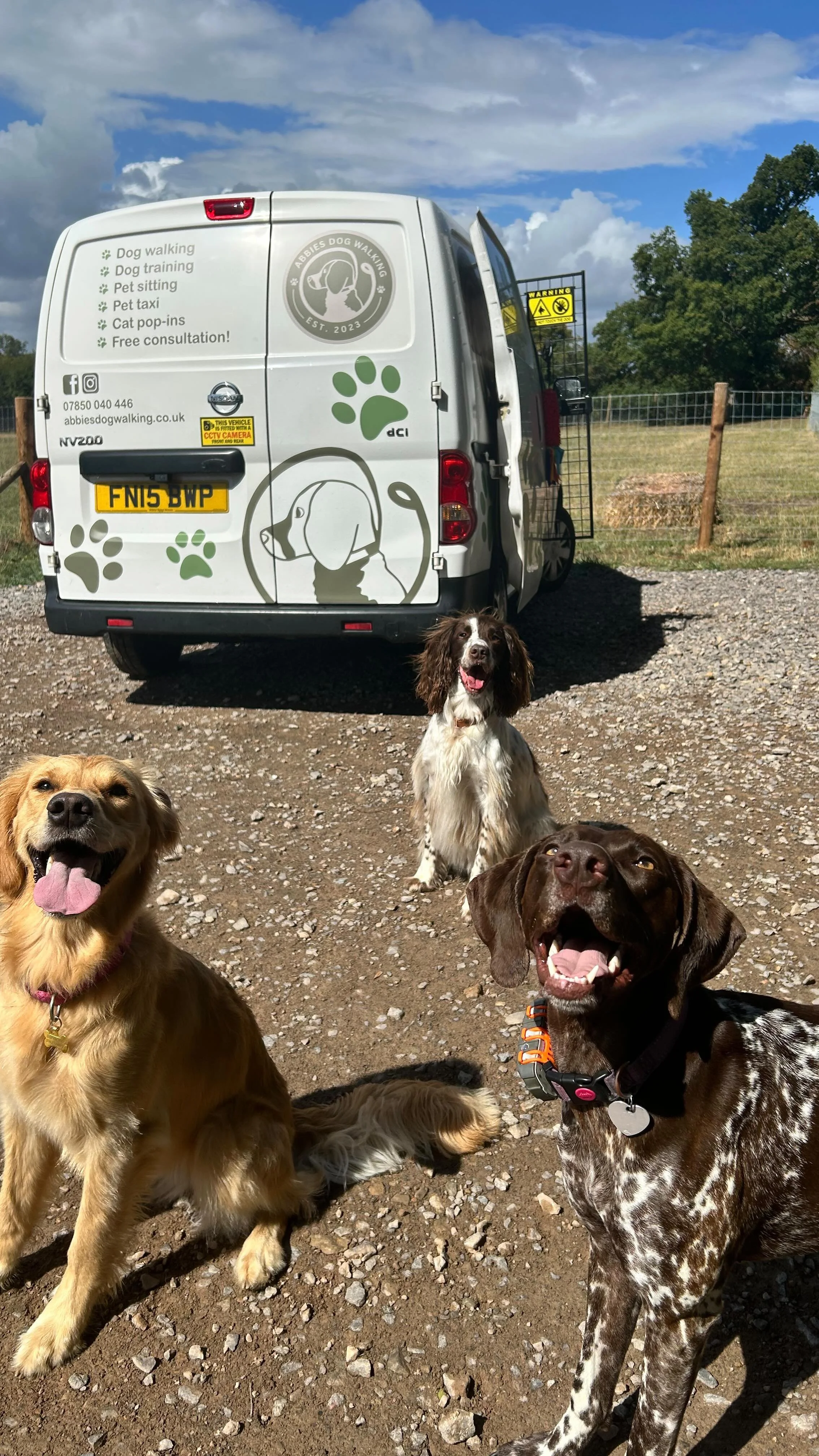 Our group walks are so well balanced our pups are able to run, play and be crazy together but they can also be calm, sniff and relax! A good group shouldn’t be on the go the entire time, there’s got to be a balance!
An even better group