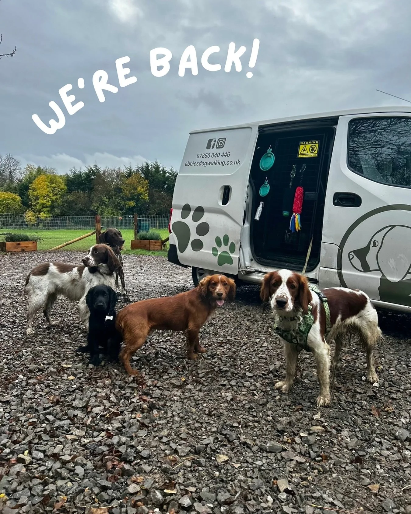 We are now back & fully operational, which means back to our nutty groups! It feels amazing to be back with all of your pets, we had such a brilliant first group walk 😁🐾 
I do also want to take the chance to talk about the dreaded “M&rdq