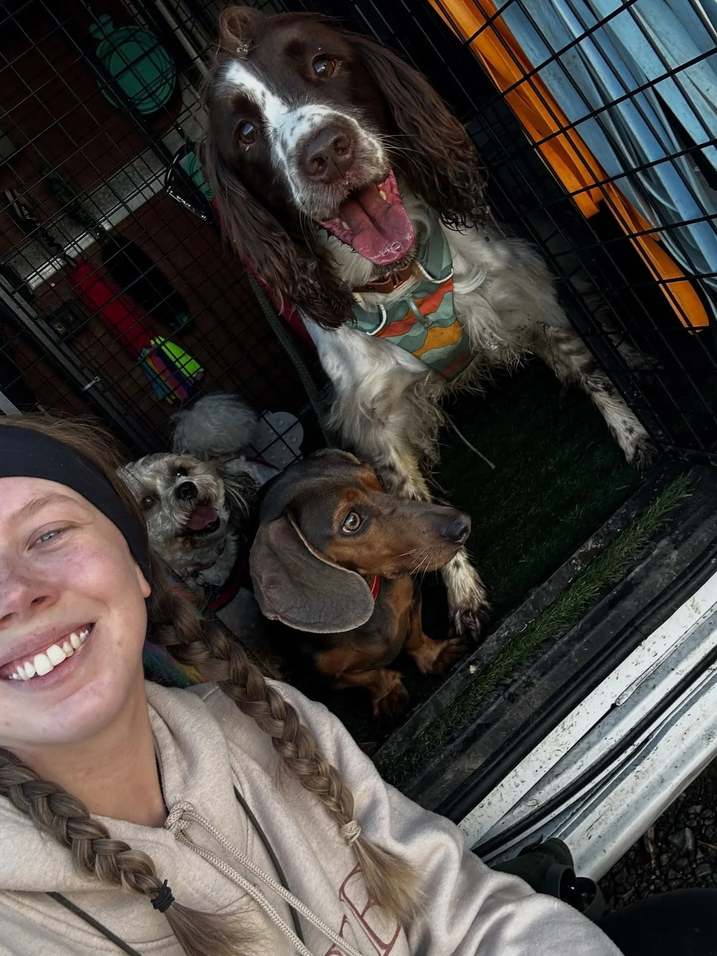 Thursday lunchtime group, minus 1 🤣🐾 
&bull;
&bull;
&bull;
www.abbiesdogwalking.co.uk 
#abbiesdogwalking #abbiesdogtraining #gloucesterdogwalker #gloucesterdogwalking #dogwalkersgloucester #dogprofessionalsgloucester #churchdowndogwalker #glouceste
