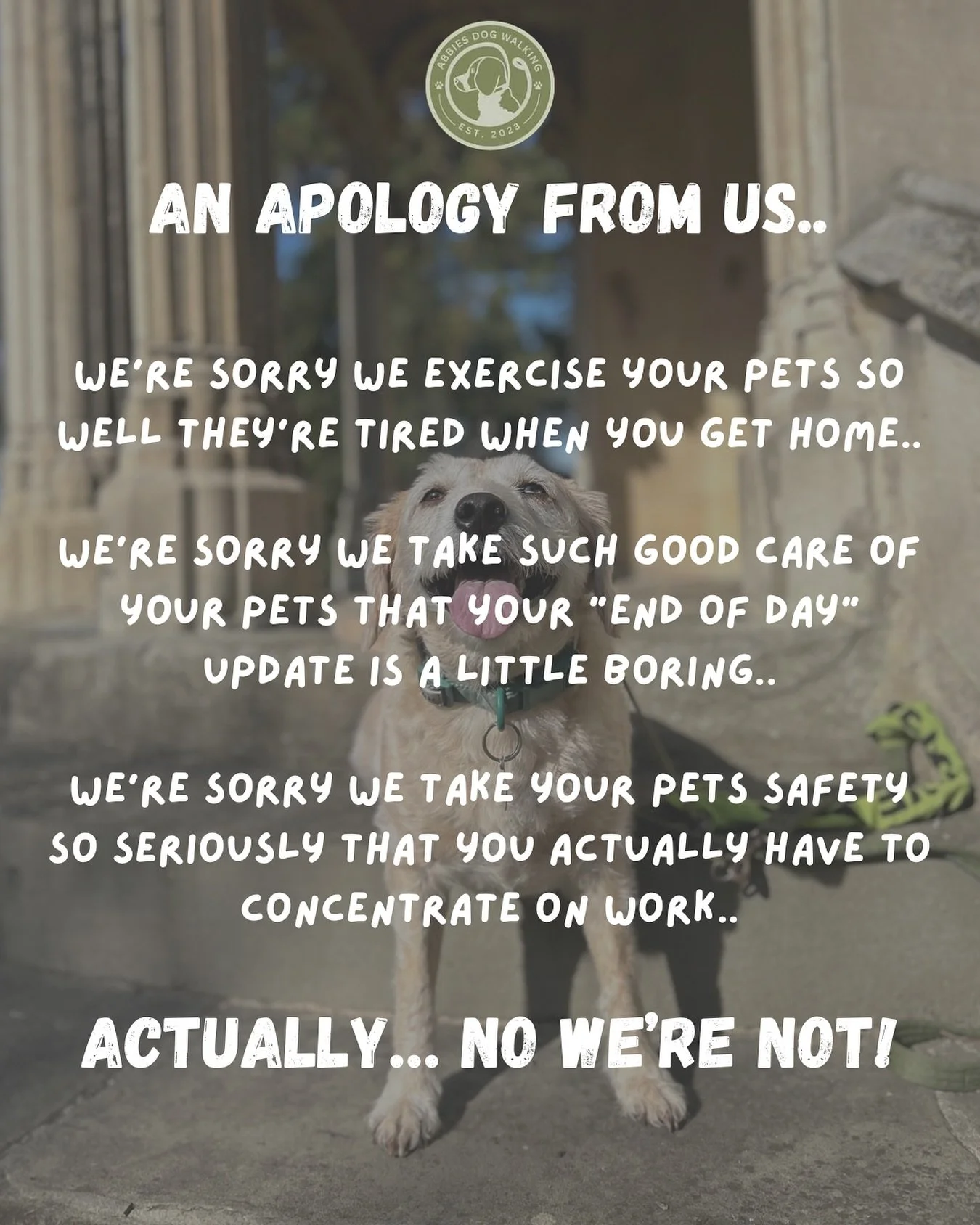 A quick apology from us&hellip; of sorts 🤣🐾 
(This is of course satire, we have no reason to make an apology &amp; we love each one of our clients!)
&bull;
&bull;
&bull;
www.abbiesdogwalking.co.uk 
#abbiesdogwalking #abbiesdogtraining #gloucesterdo