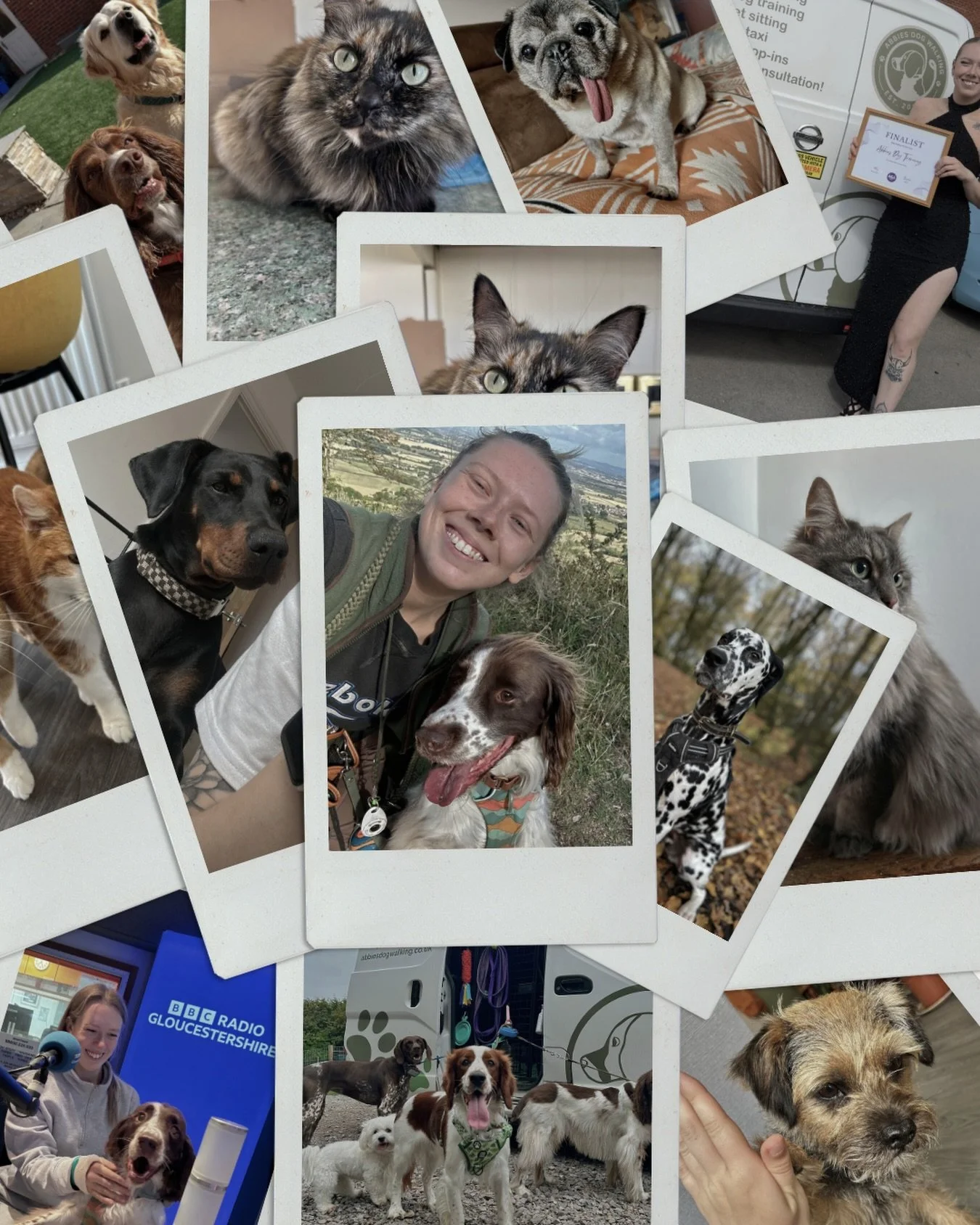 And just like that it&rsquo;s the end of the year! 🎄🎉 

Whilst we have a few bits &amp; bobs going on between Christmas and new years we won&rsquo;t be seeing many of your lovely pets until the new year now so I just wanted to show a bit of appreci