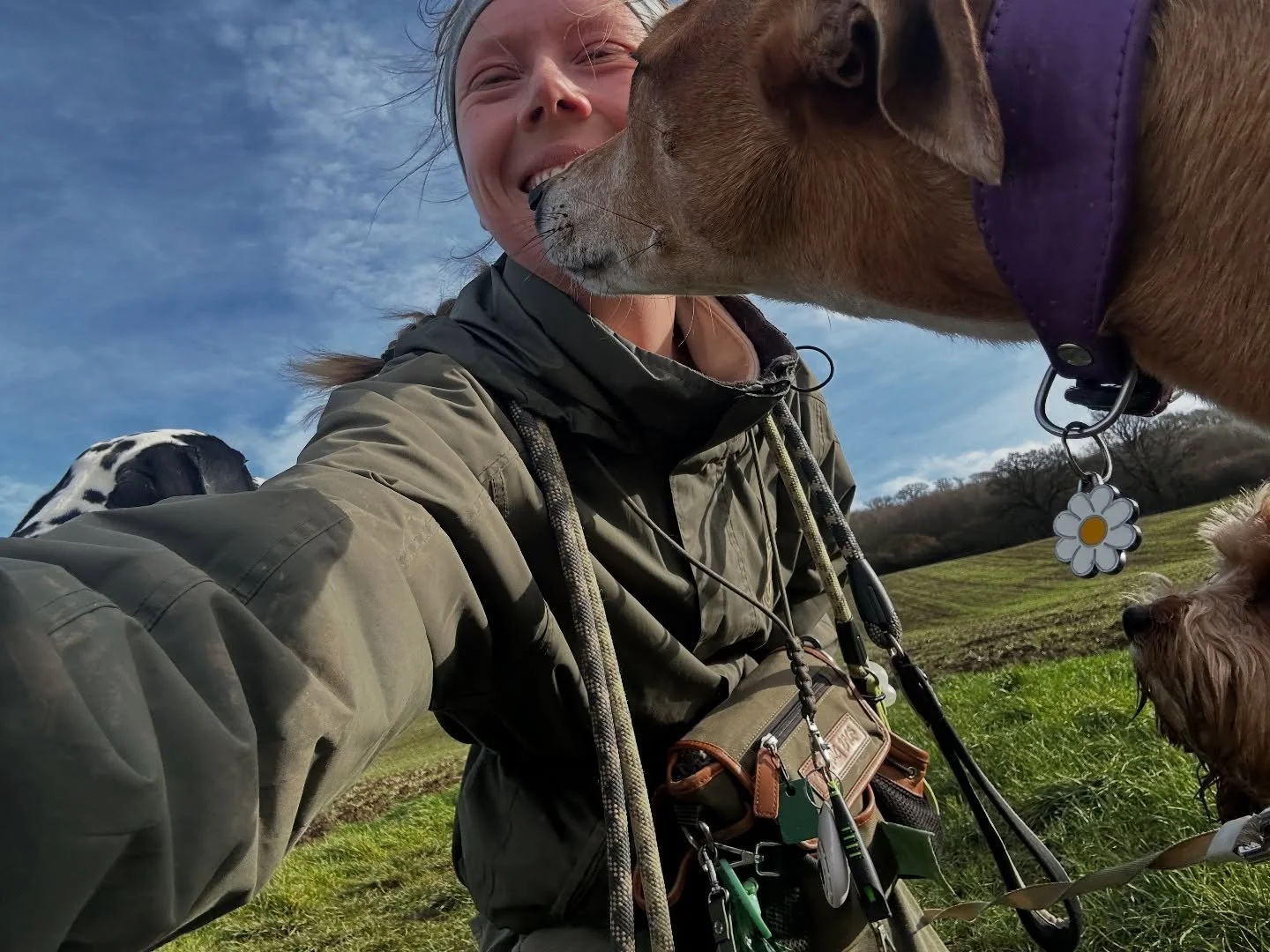 Another beautifully chaotic day of walking! Every pup had a good amount of exercise, play &amp; of course treats (and no one got blown away! 💨) 😋🐾
&bull; 
&bull;
#abbiesdogwalking #churchdown #longlevens #brockworth