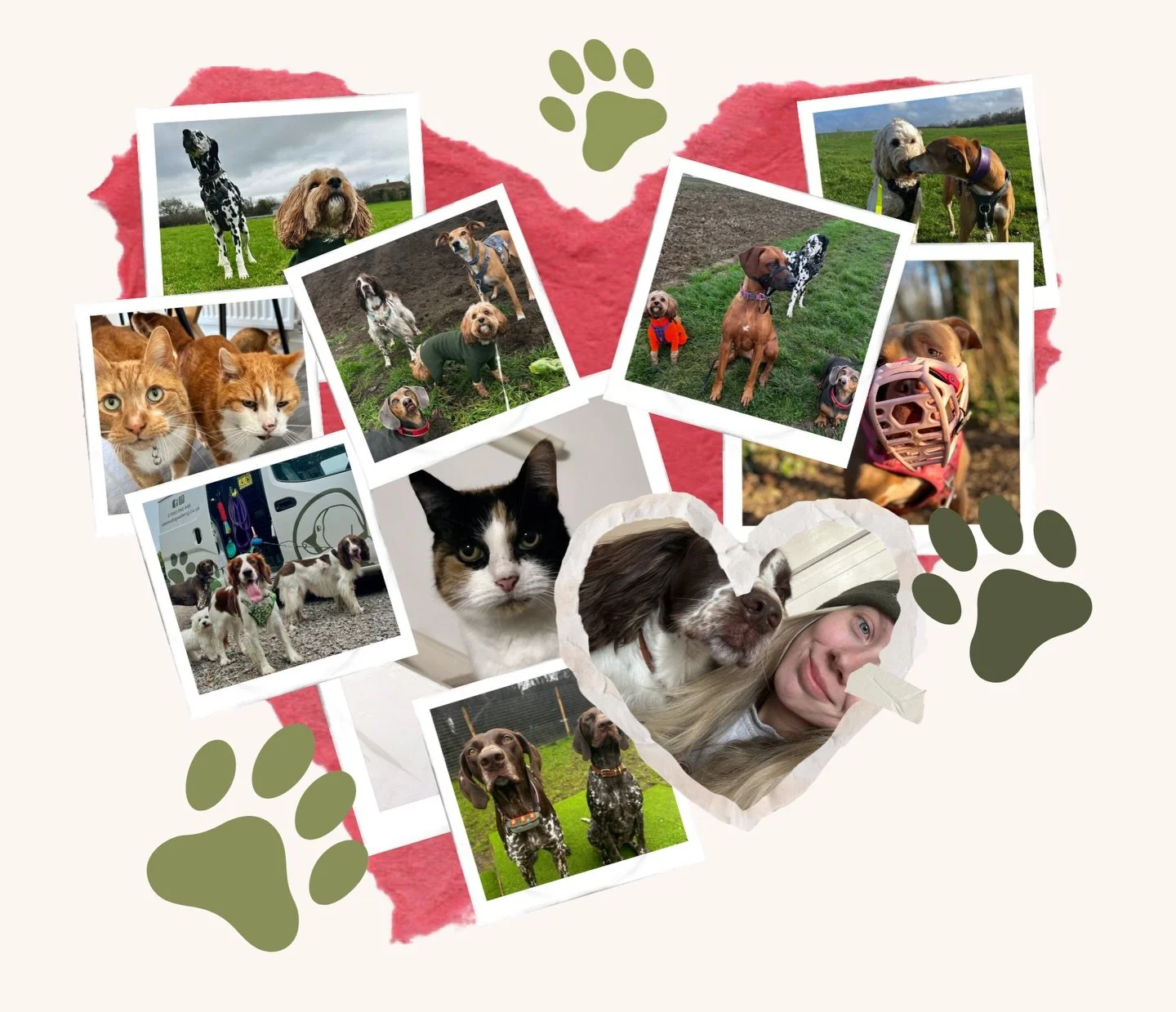 Happy Valentine&rsquo;s Day from Abbie&rsquo;s Dog Walking to the greatest loves of all our lives&hellip; your pets! ❤️🐾