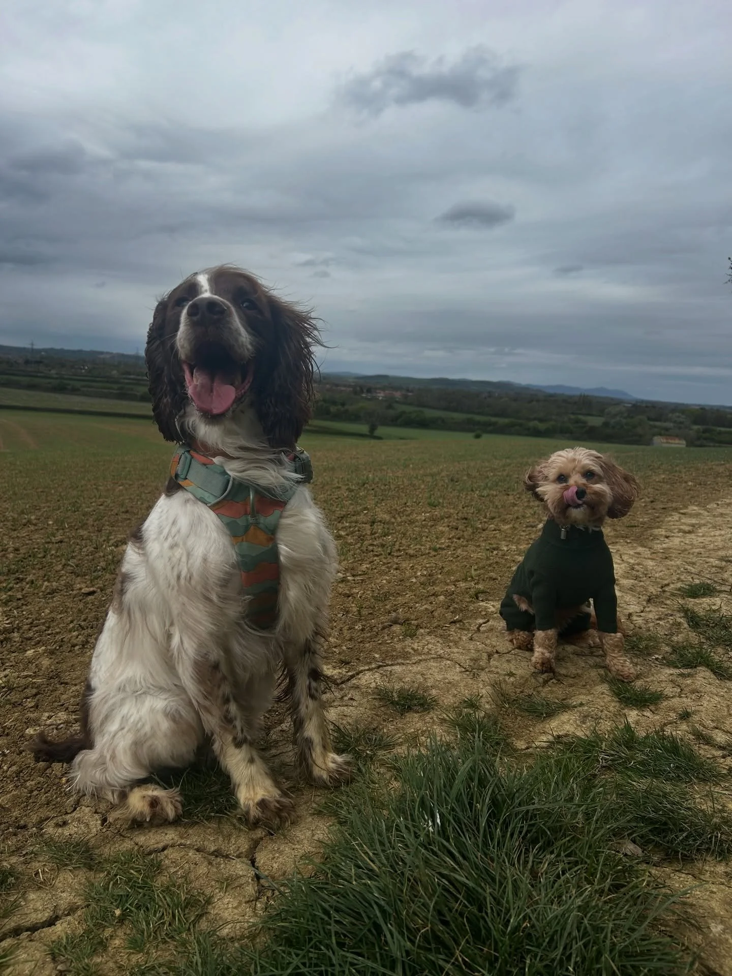 Managed to remember to take some pictures today! 🫢🤣