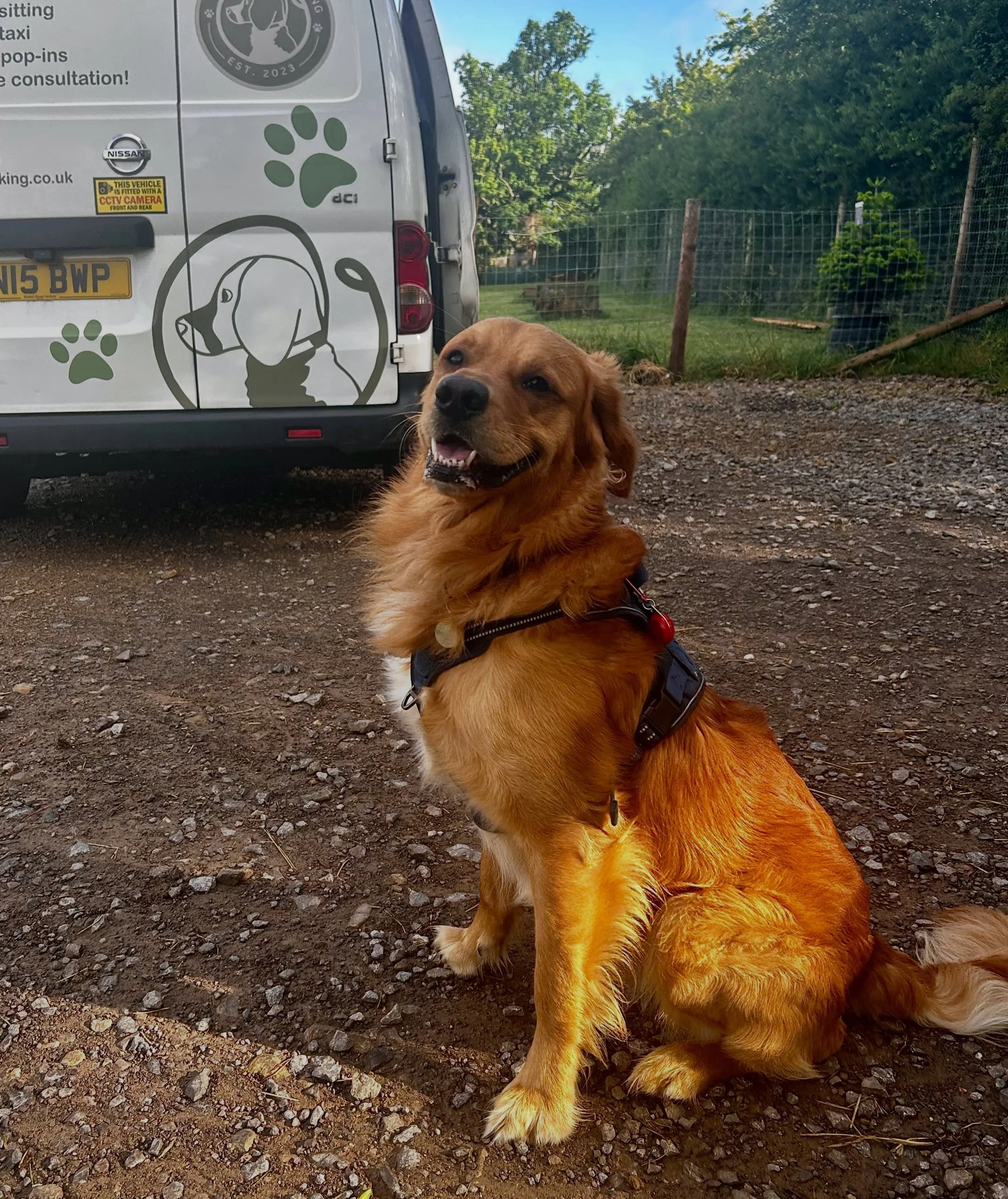 First day at school photos? Or first day with my dog walker photos? 🥹🐾

Dennis joined us today to build up his social confidence &amp; skills with other dogs, he also did so well so I can&rsquo;t wait to see how much hood confidence grows! 🫶🏼