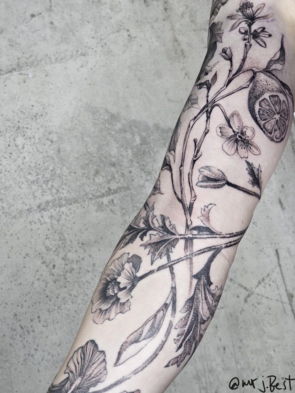 Botanical fineline tattoo 3 by Mr J.Best