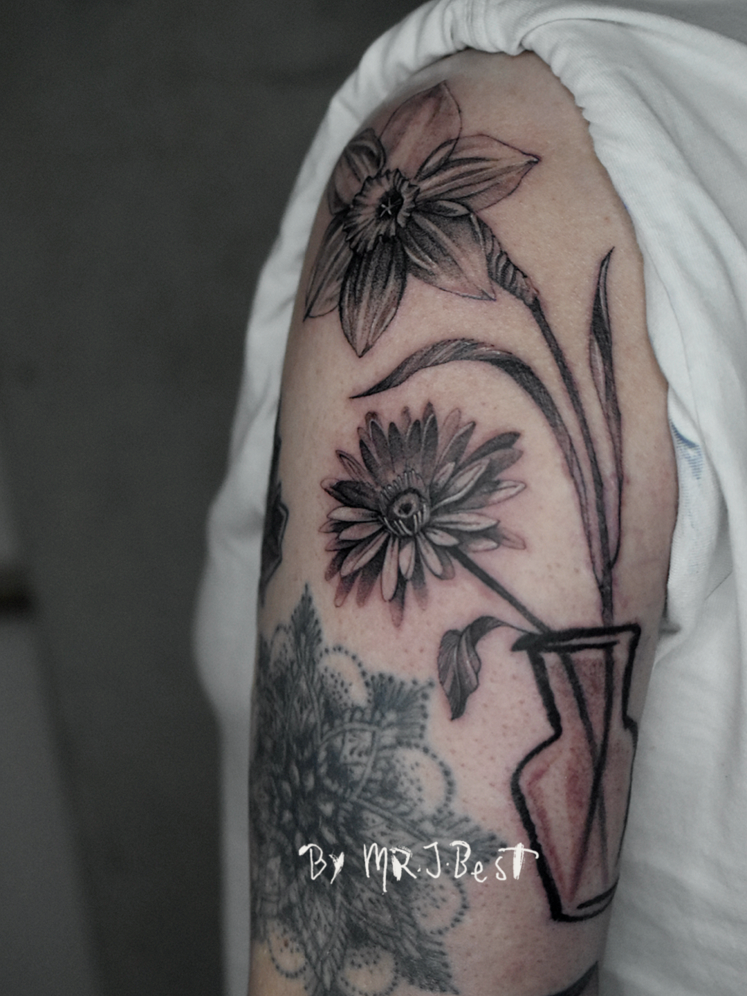IMG_7286.PNG