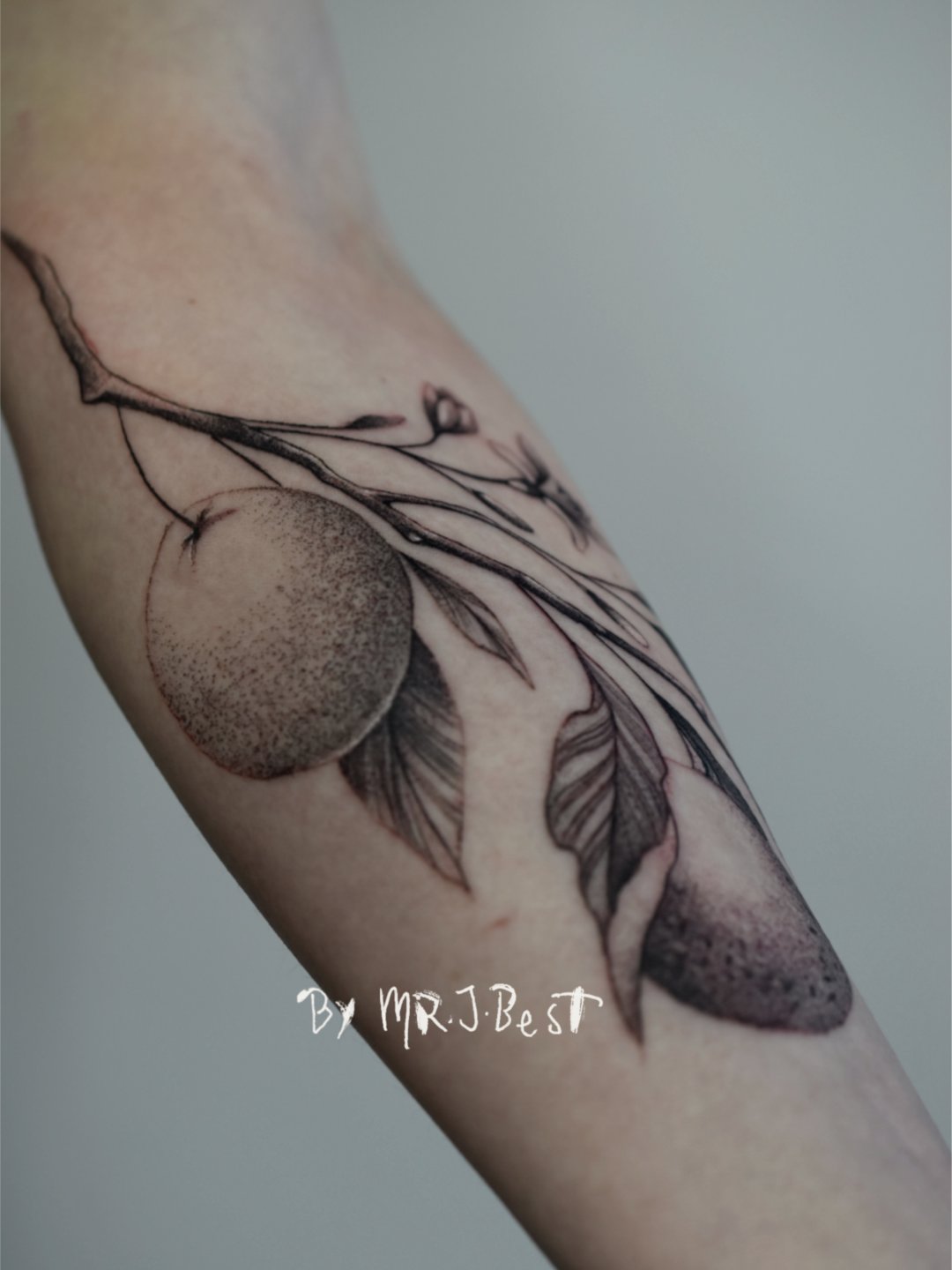 IMG_7280.PNG