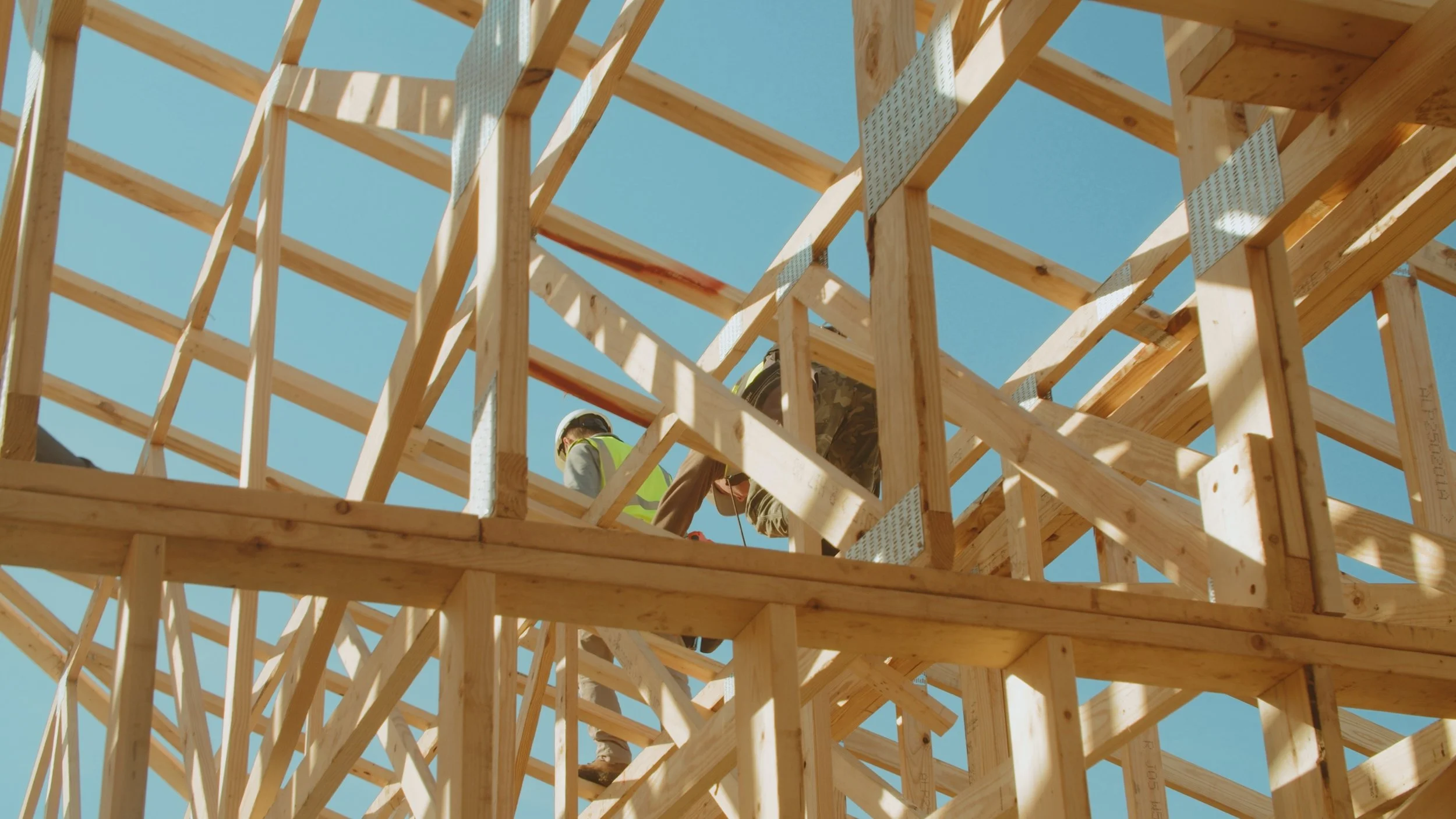 Still 2026-03-06 120342_1.8.1.jpg